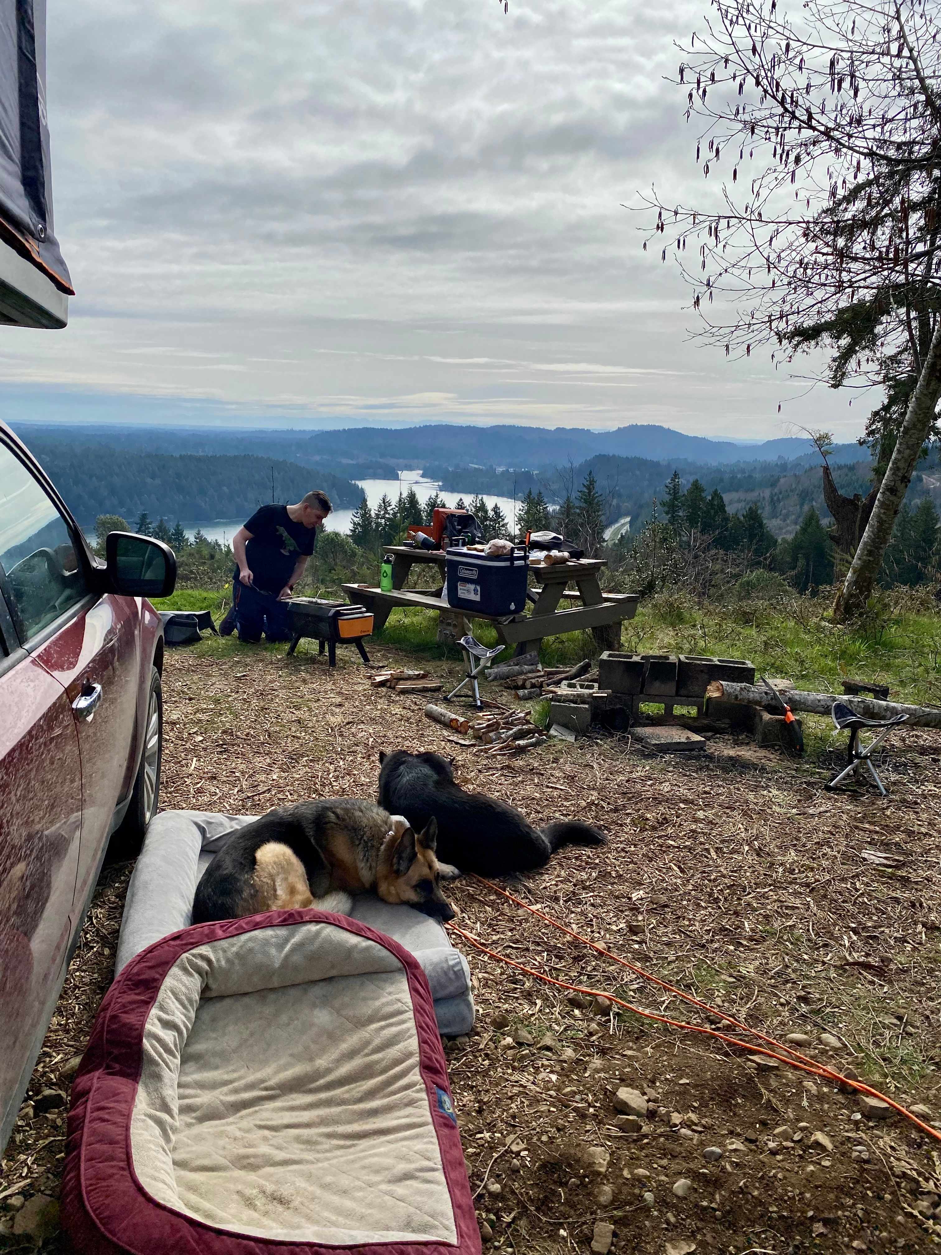 Hairy Eagle Lookout 🦅