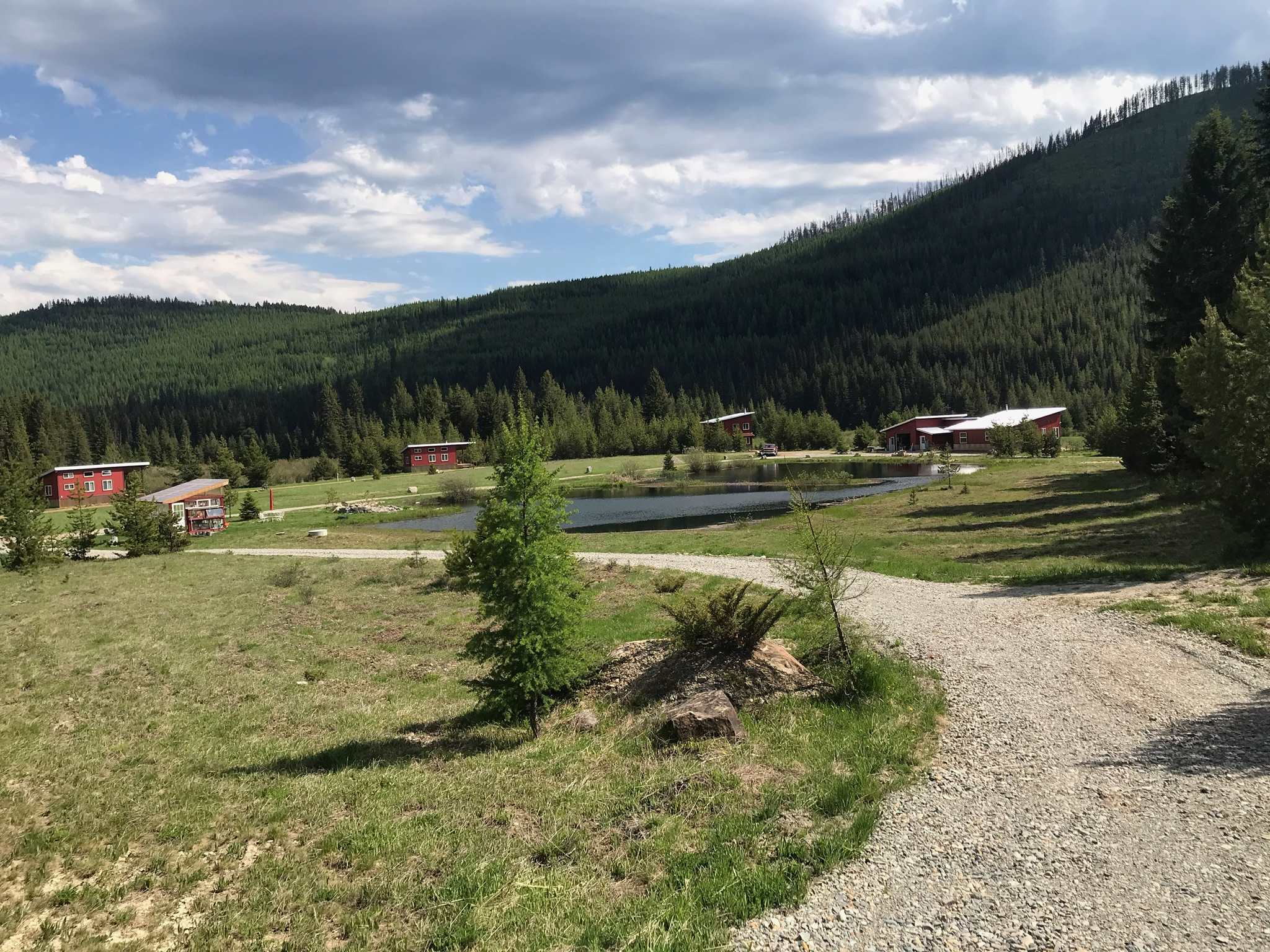 Picture of the site