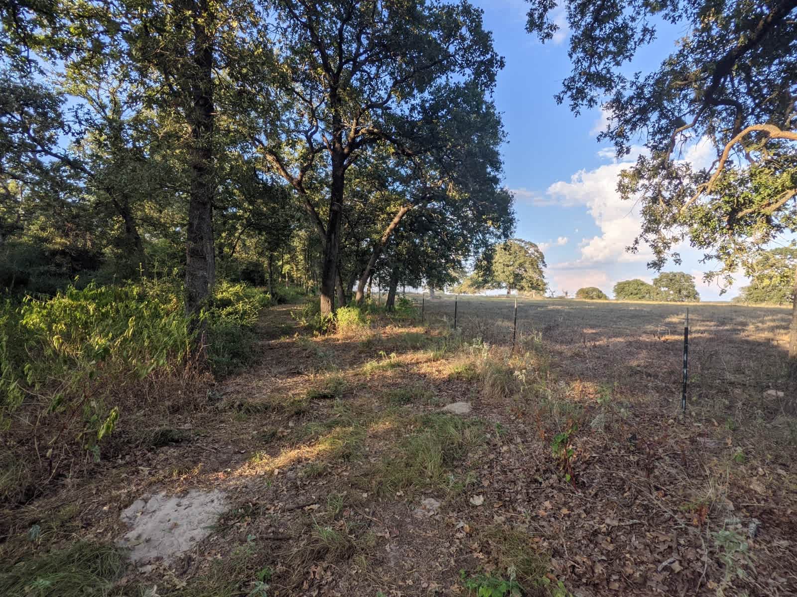 Paridise Acres 