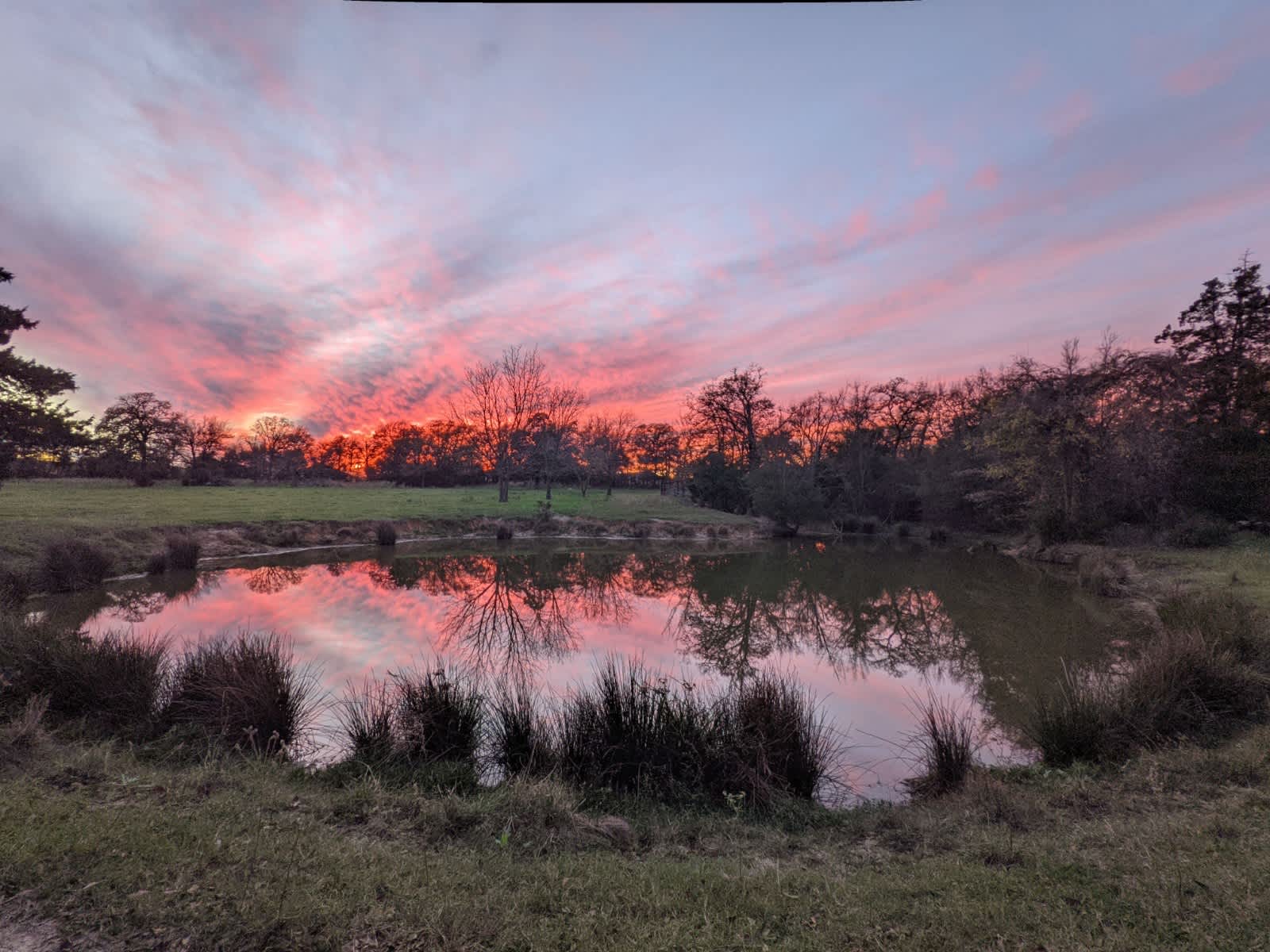 Paridise Acres 