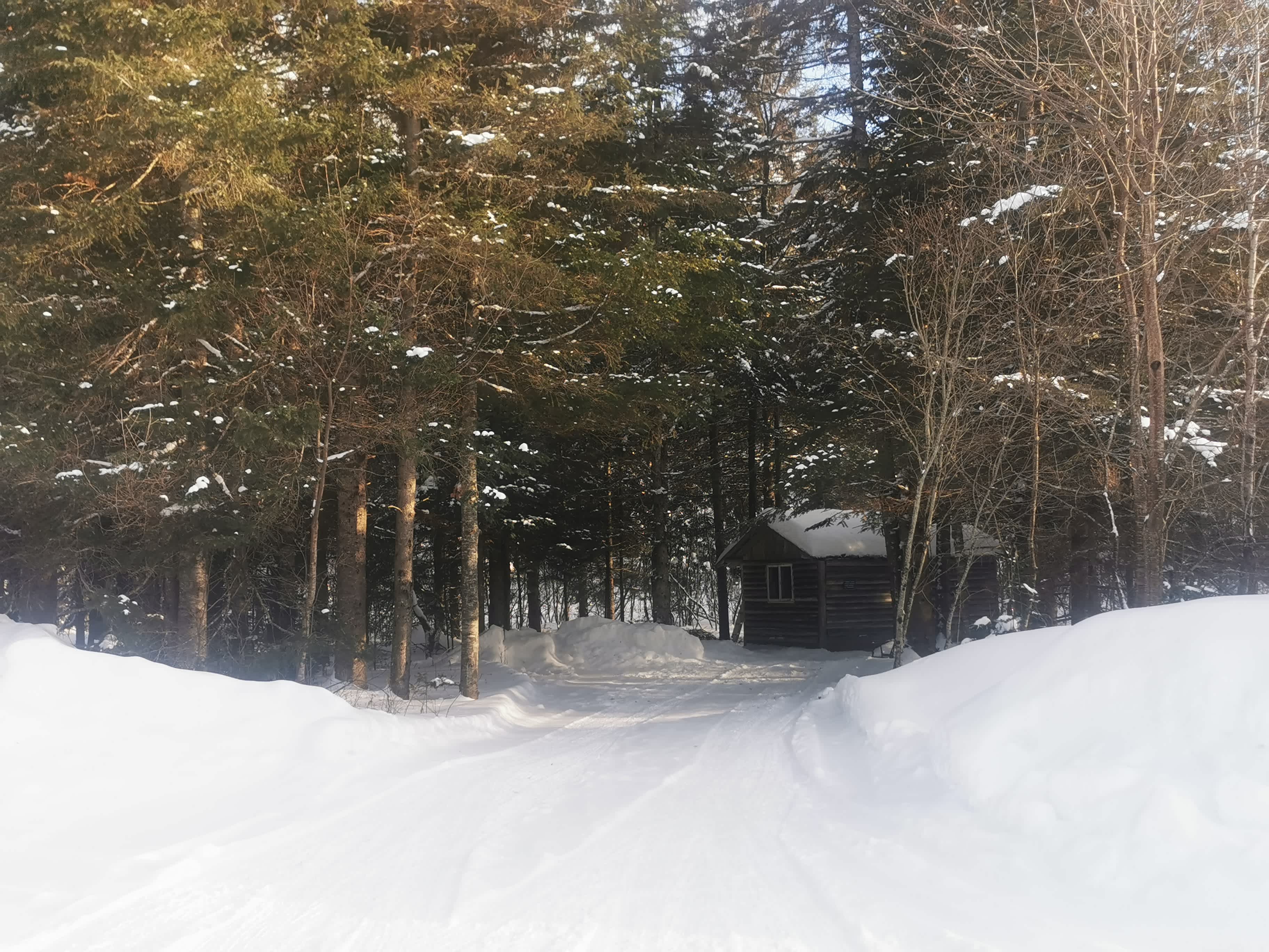 Jack's camp