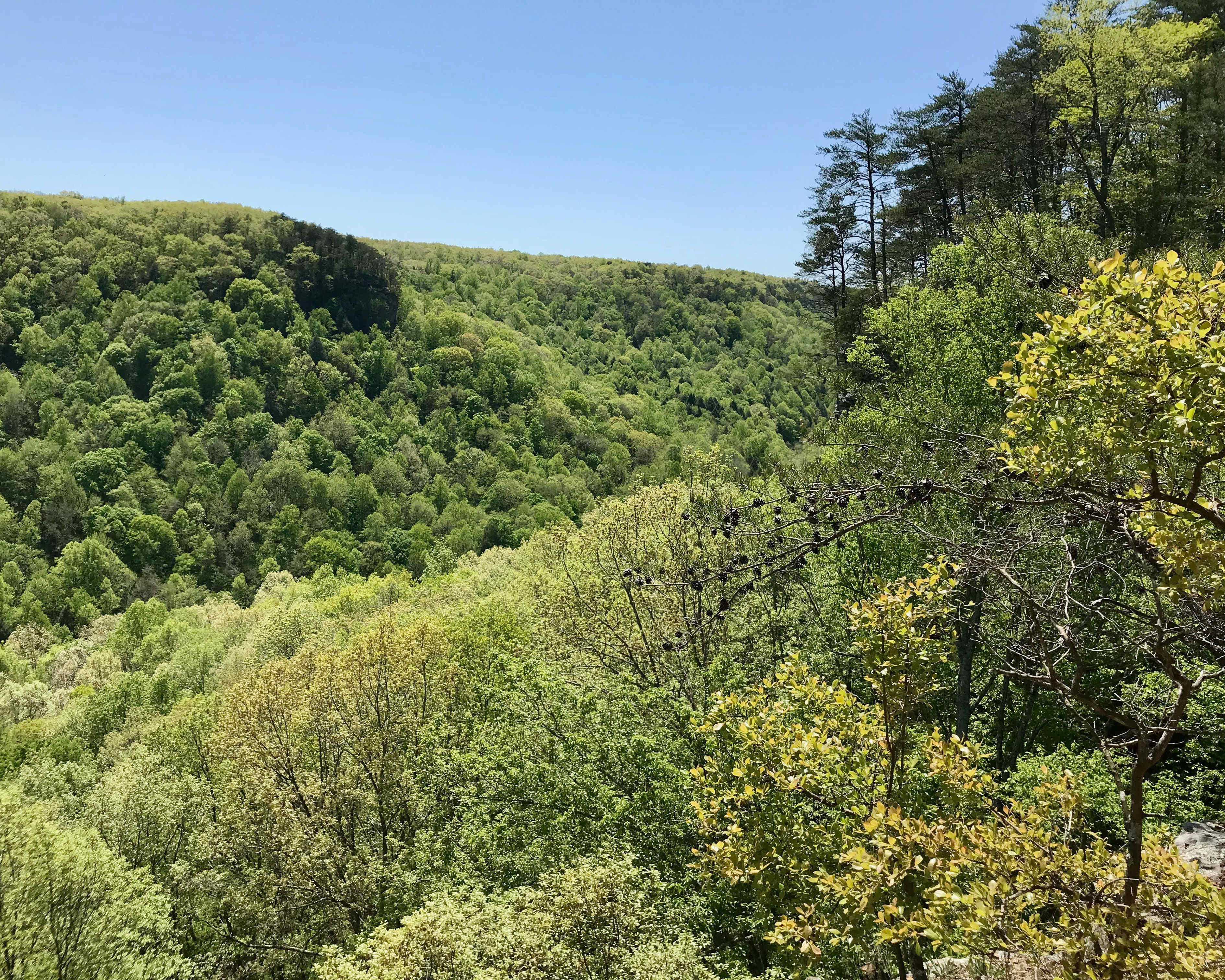 Greeter Falls Campground