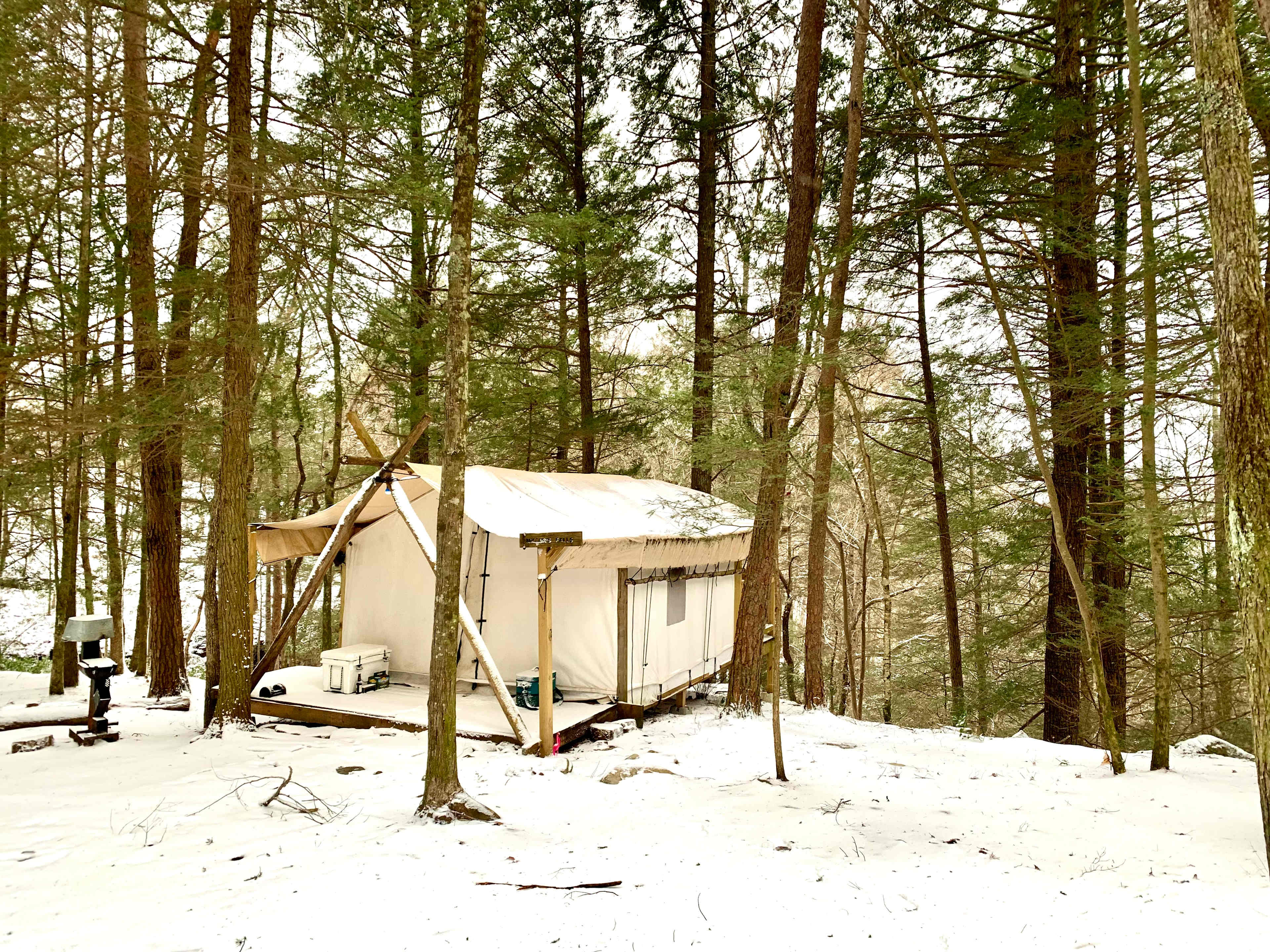 Picture of the site