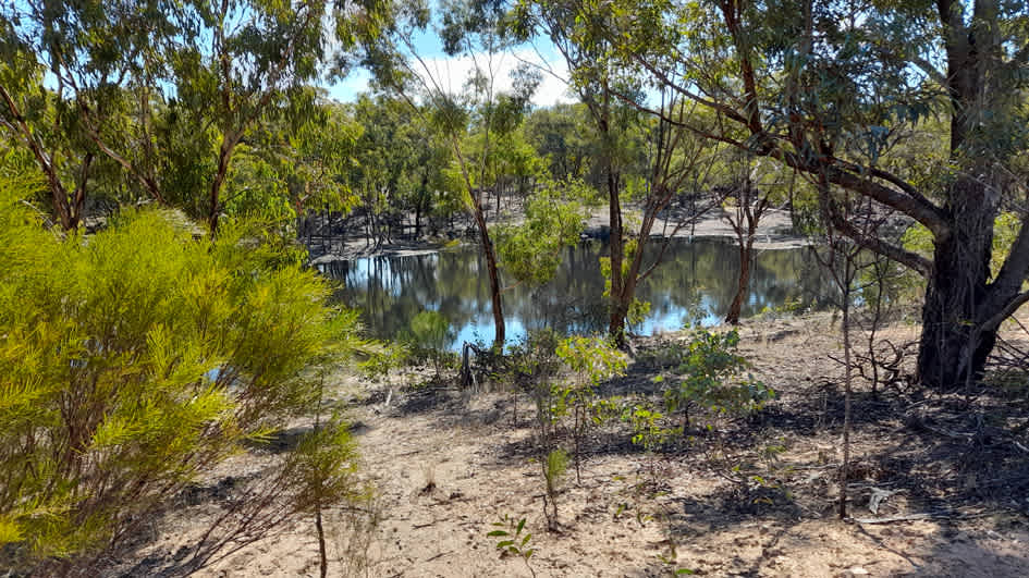 Picture of the site