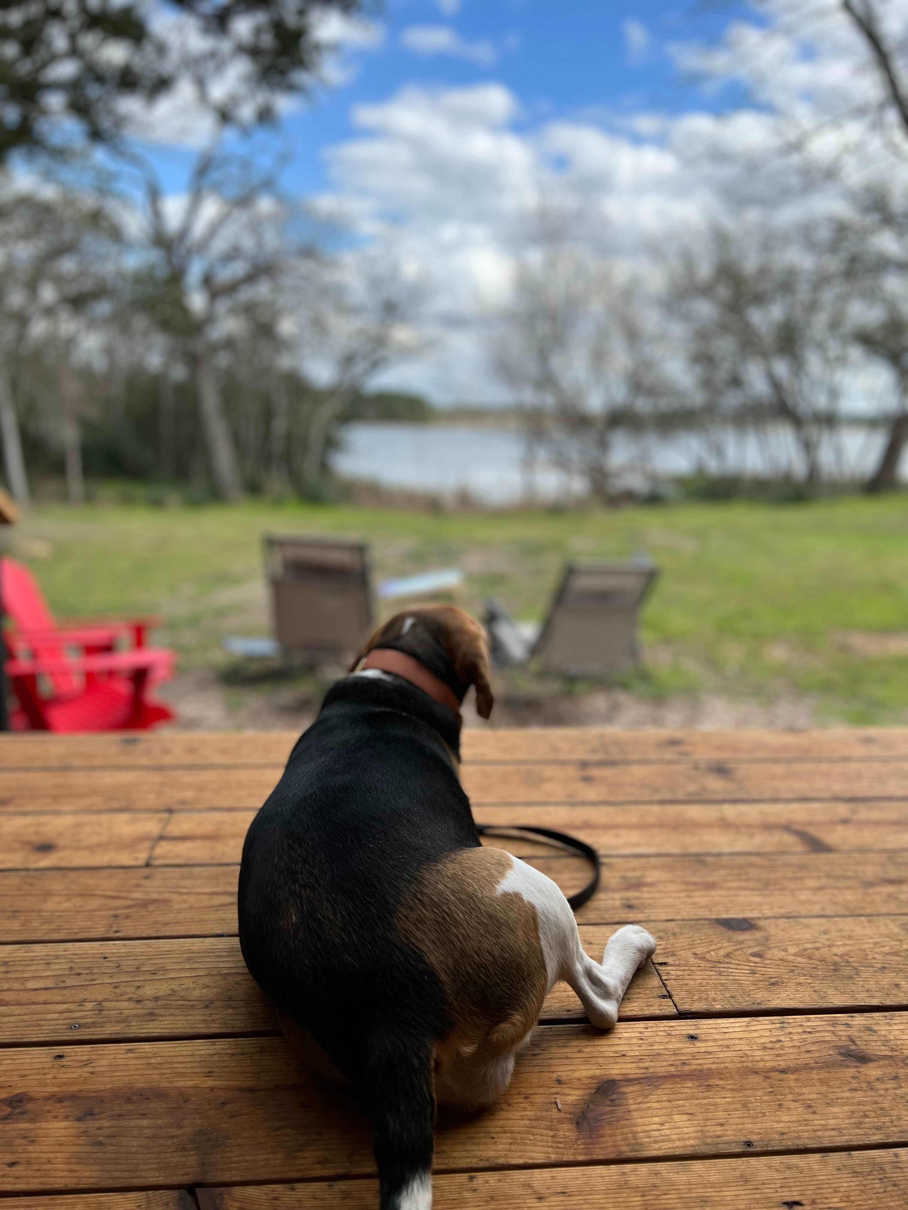 Glat Austin at Lake Bastrop North Shore Park