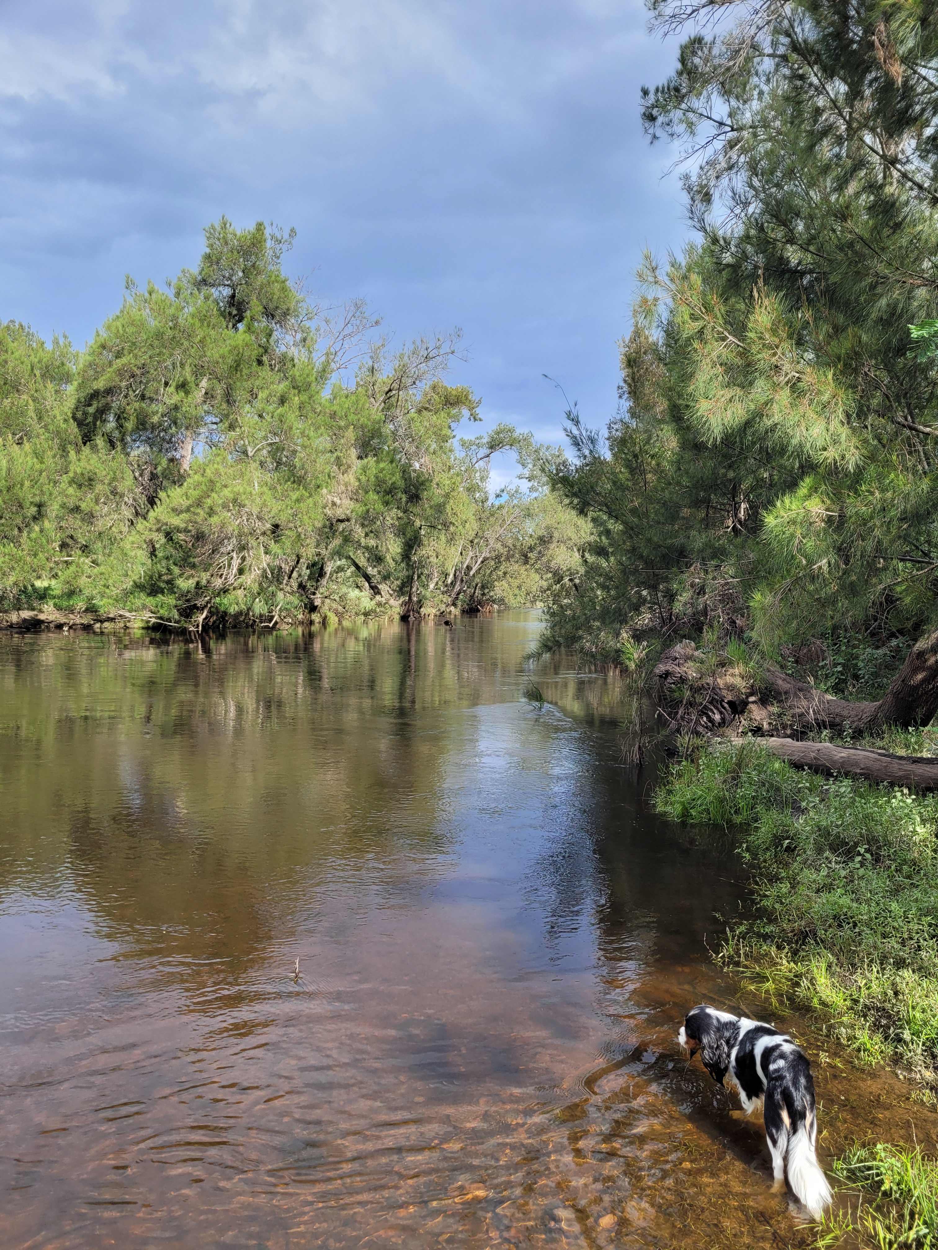 Beautiful river right at our camp site