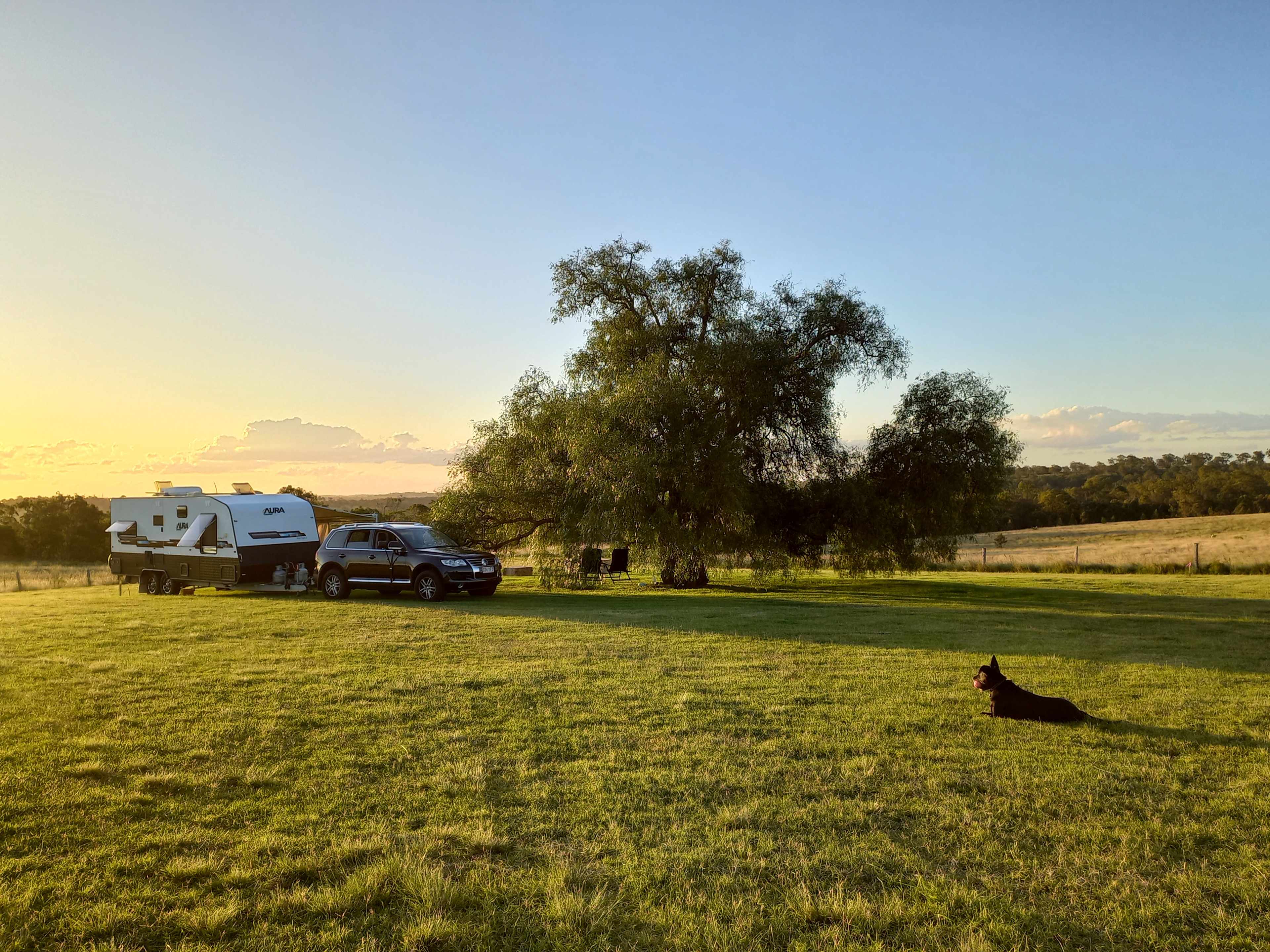 Mala enjoying sunset on a still Sunday evening.