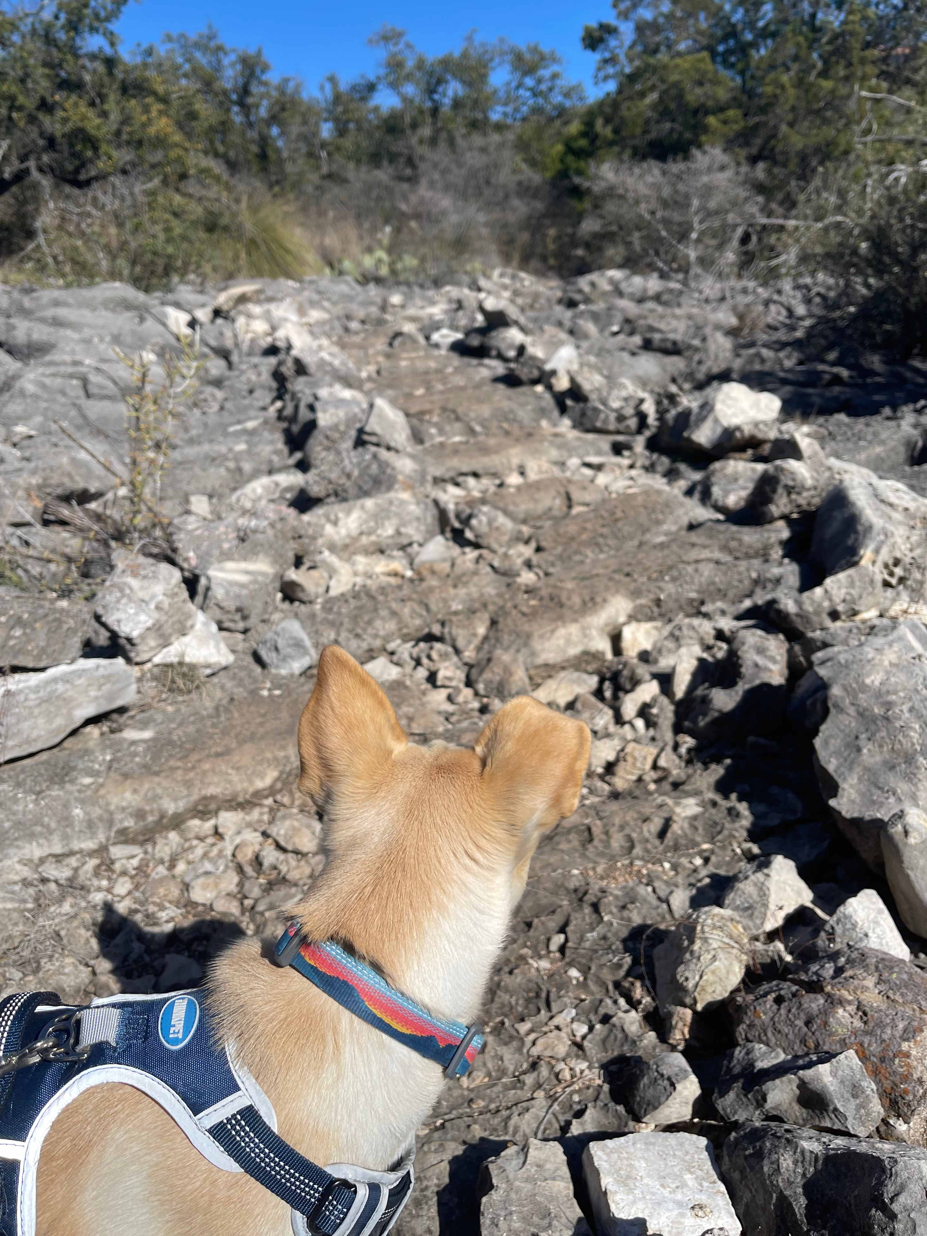Hiking trail only 20 minutes away 