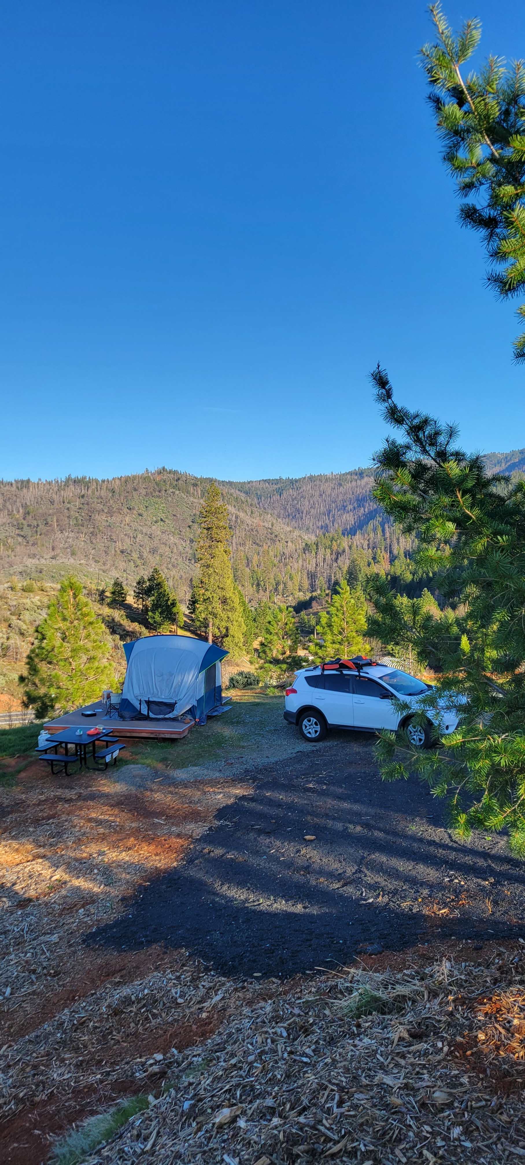 Picture of the site