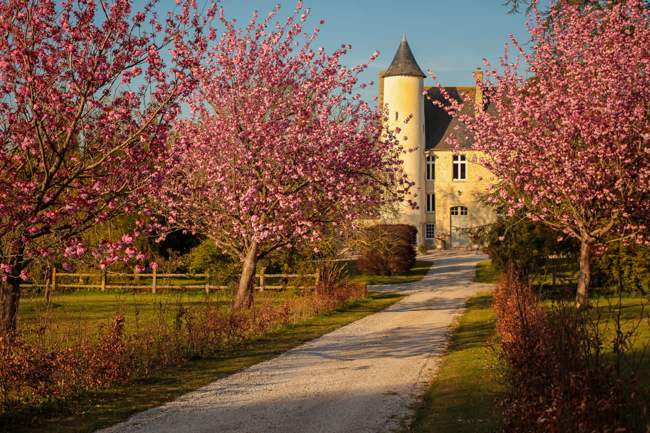 Le Château de Monfréville