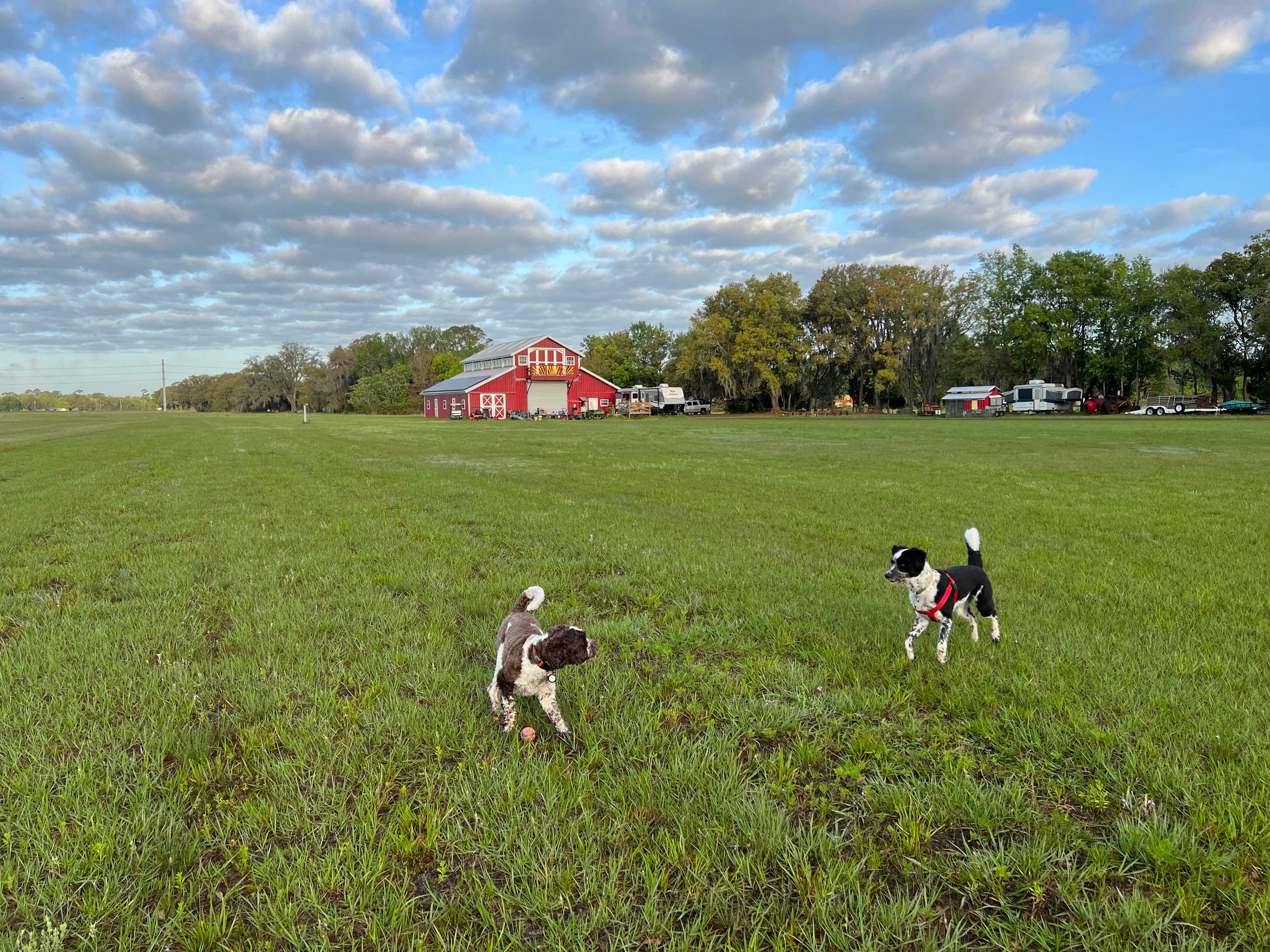 Good Earth Farm