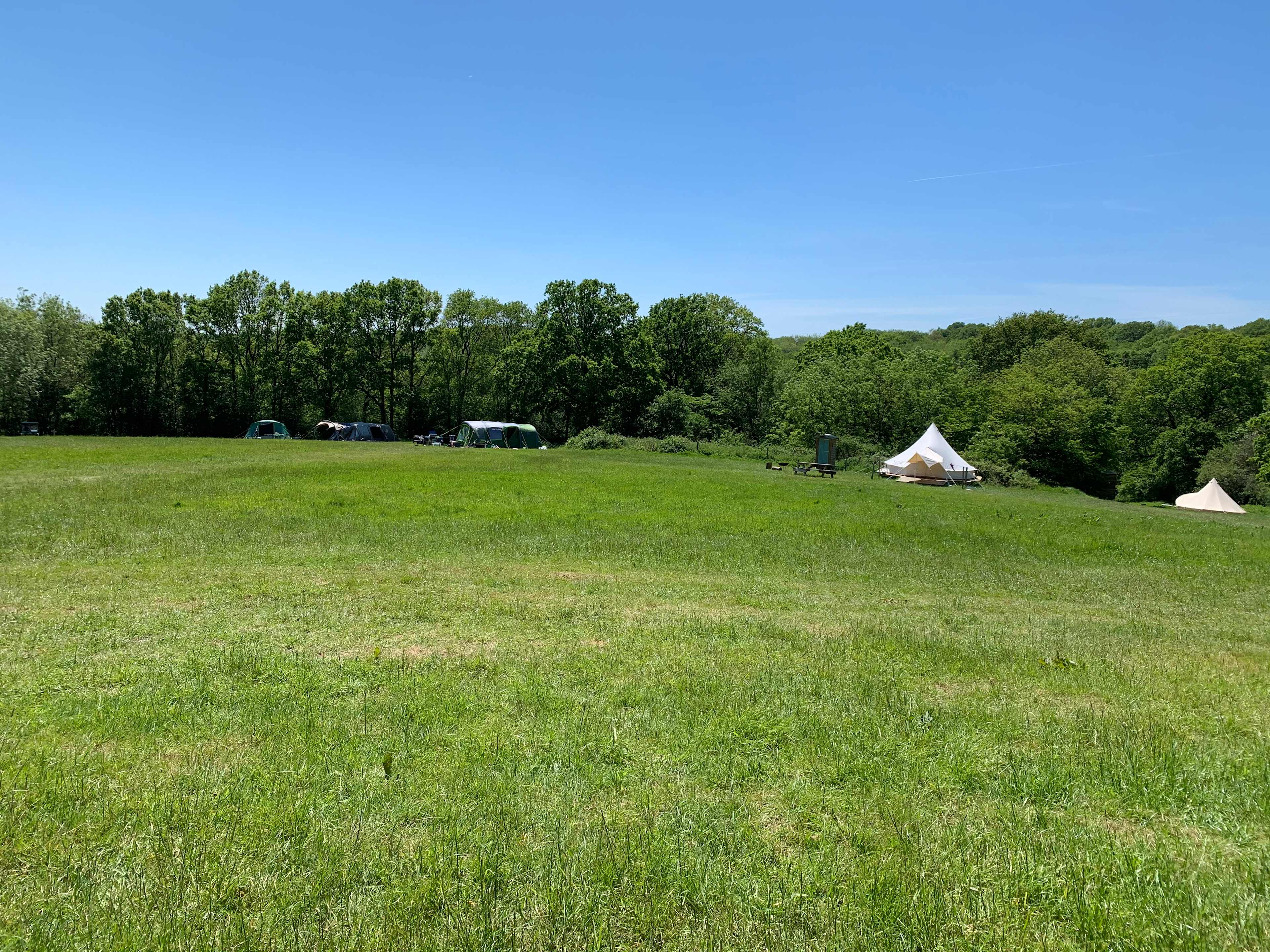 Star Field Camping