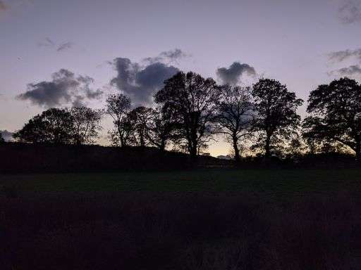 Buckland Farm Camping
