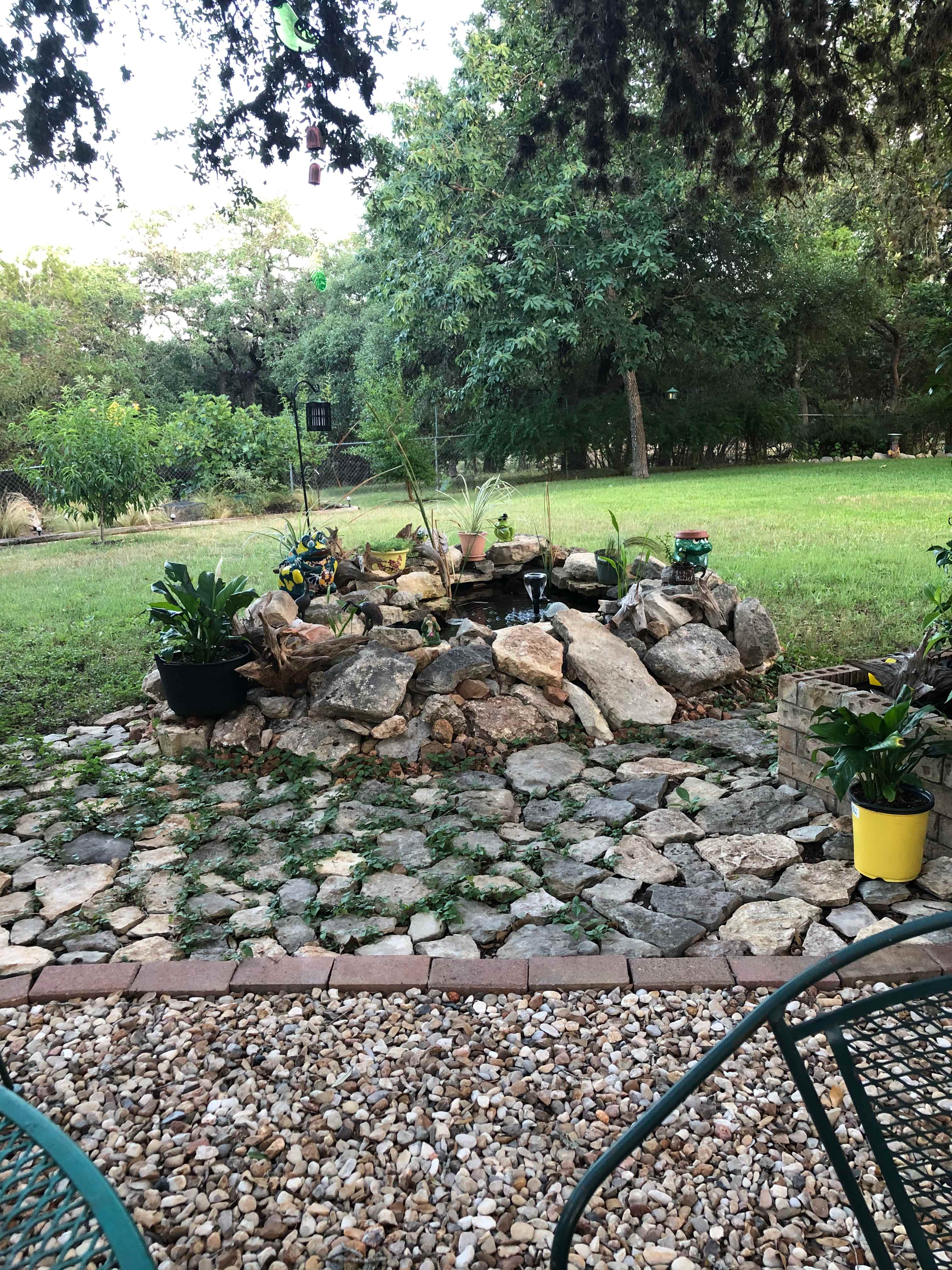 Pond in back yard