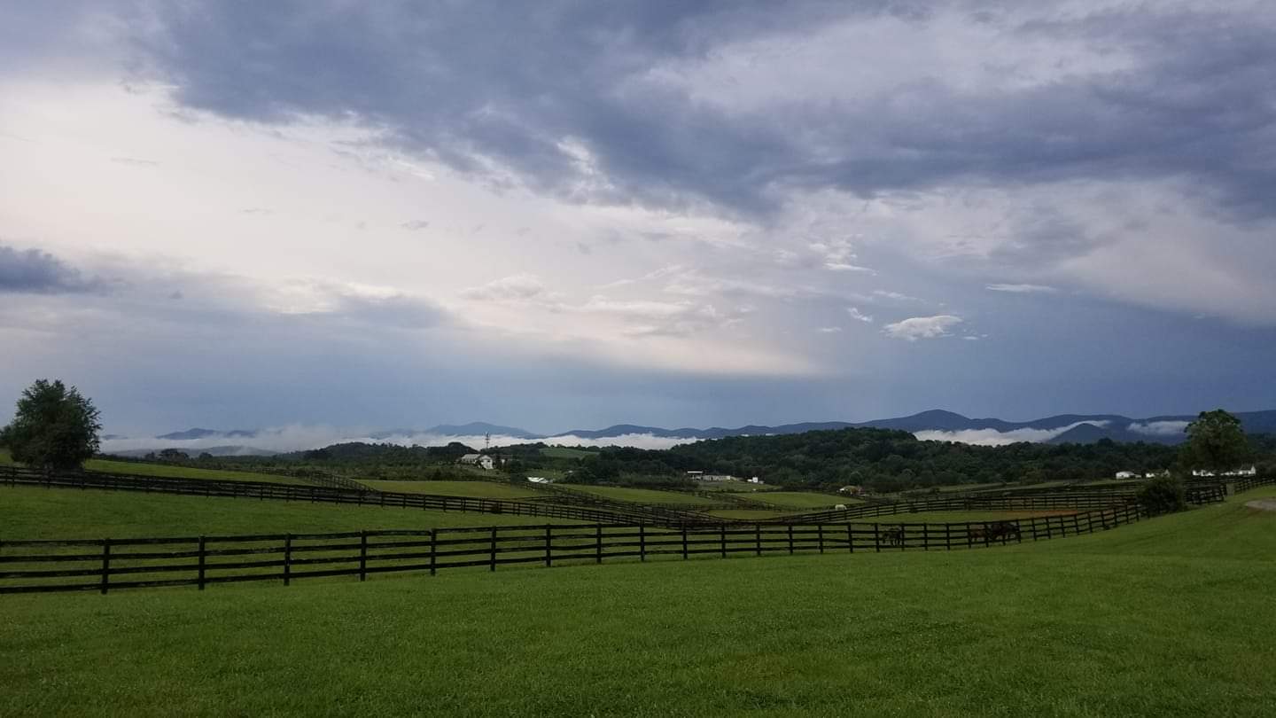 Mane Gait Equestrian Center