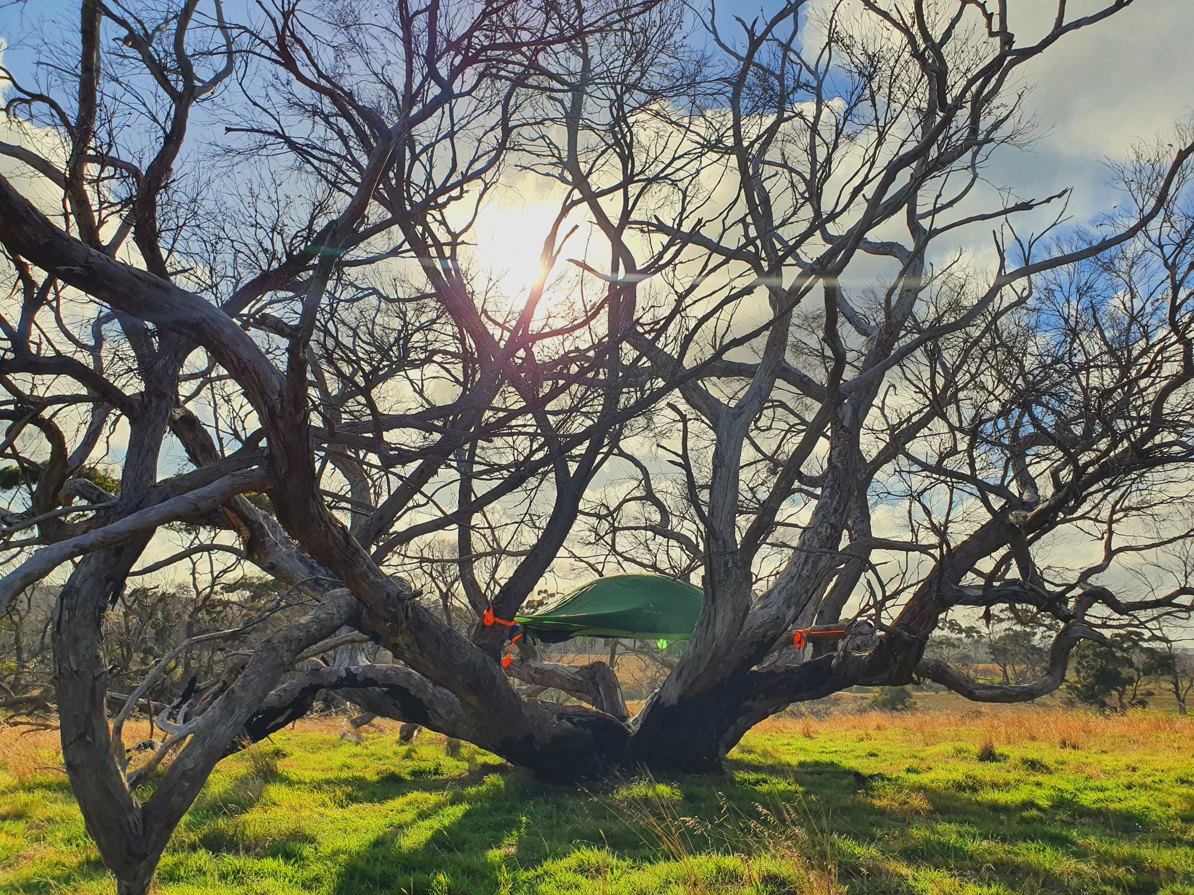 THREE PERSON TREE TENT