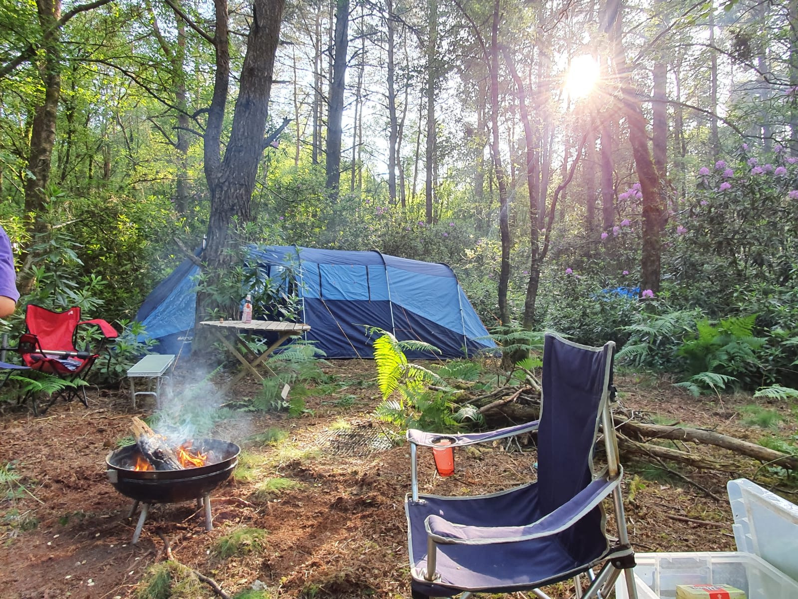 Southover Woods and Camping