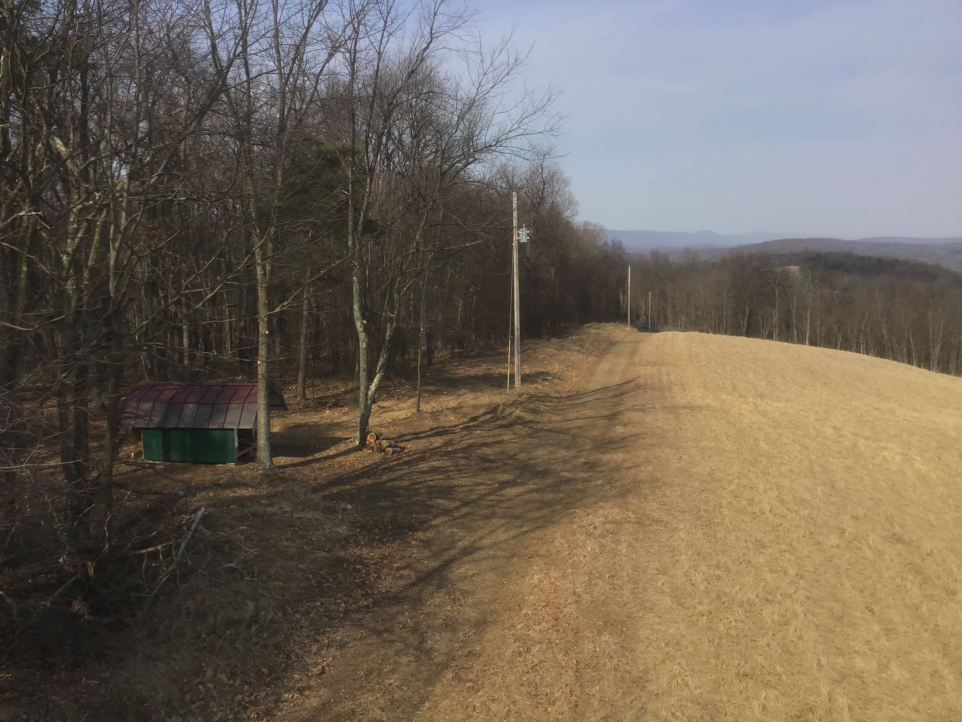 Looking north at the primitive access lane.