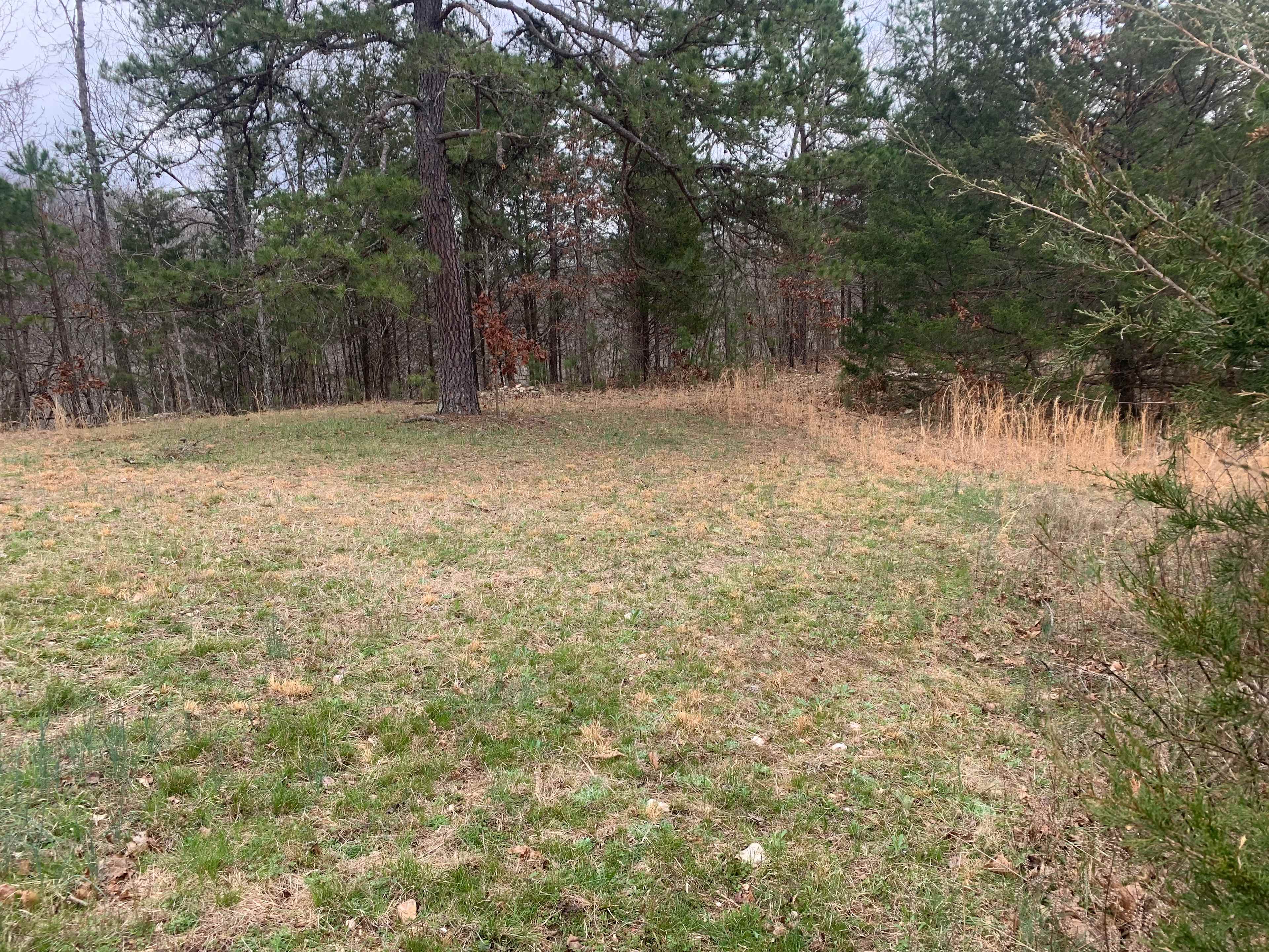 Plenty of room for 3 to 4 tents and a campfire ring is provided
