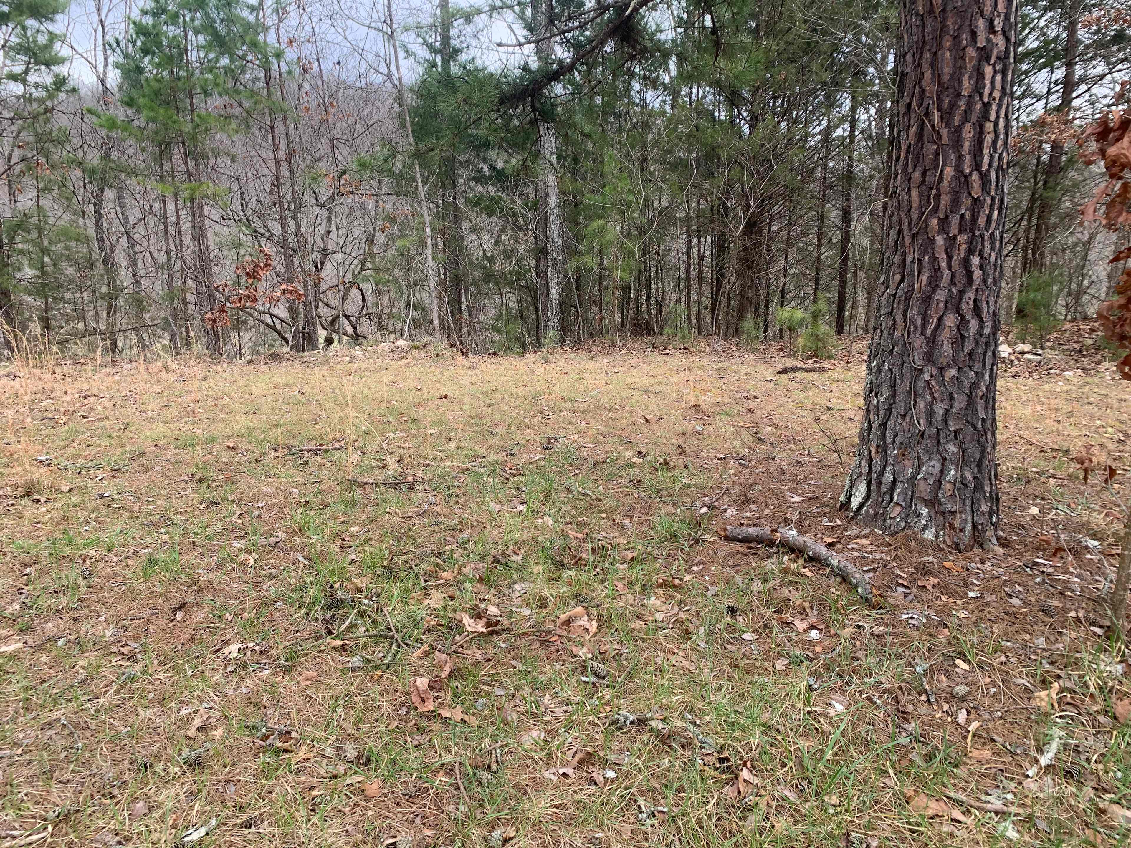 More of the general camping area in the true heart of the Ozarks