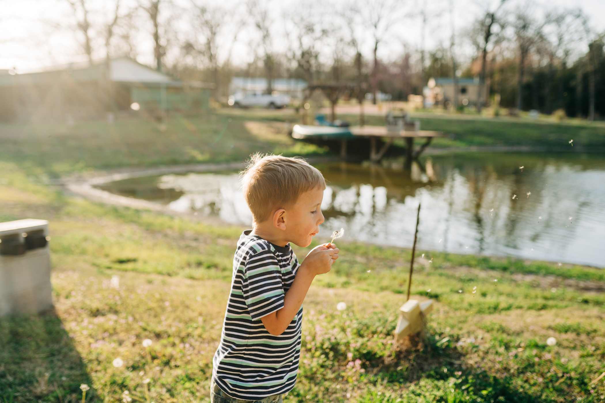 My son enjoyed hunting for dandelions that had gone to seed.