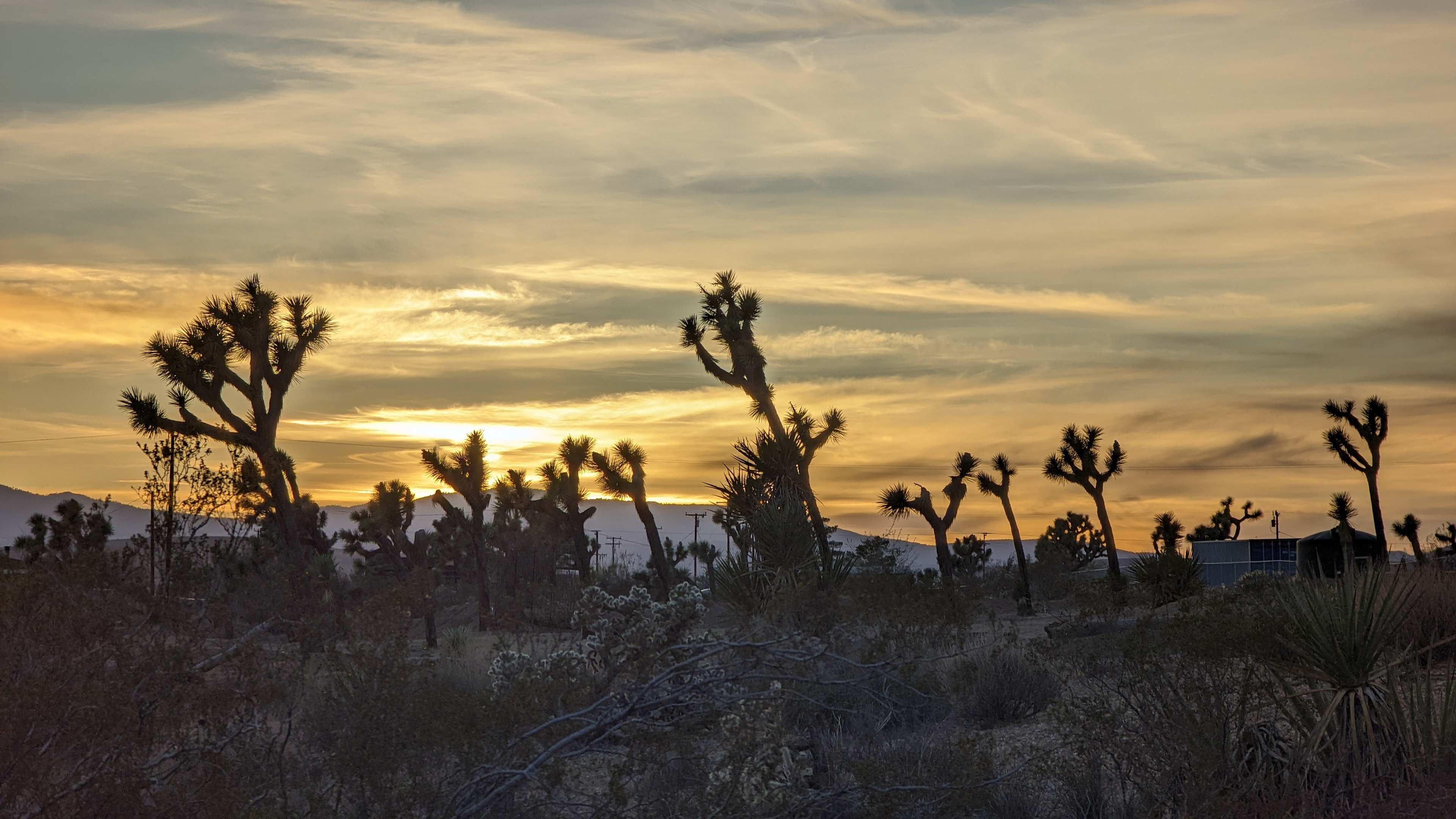 Palm's Ranch