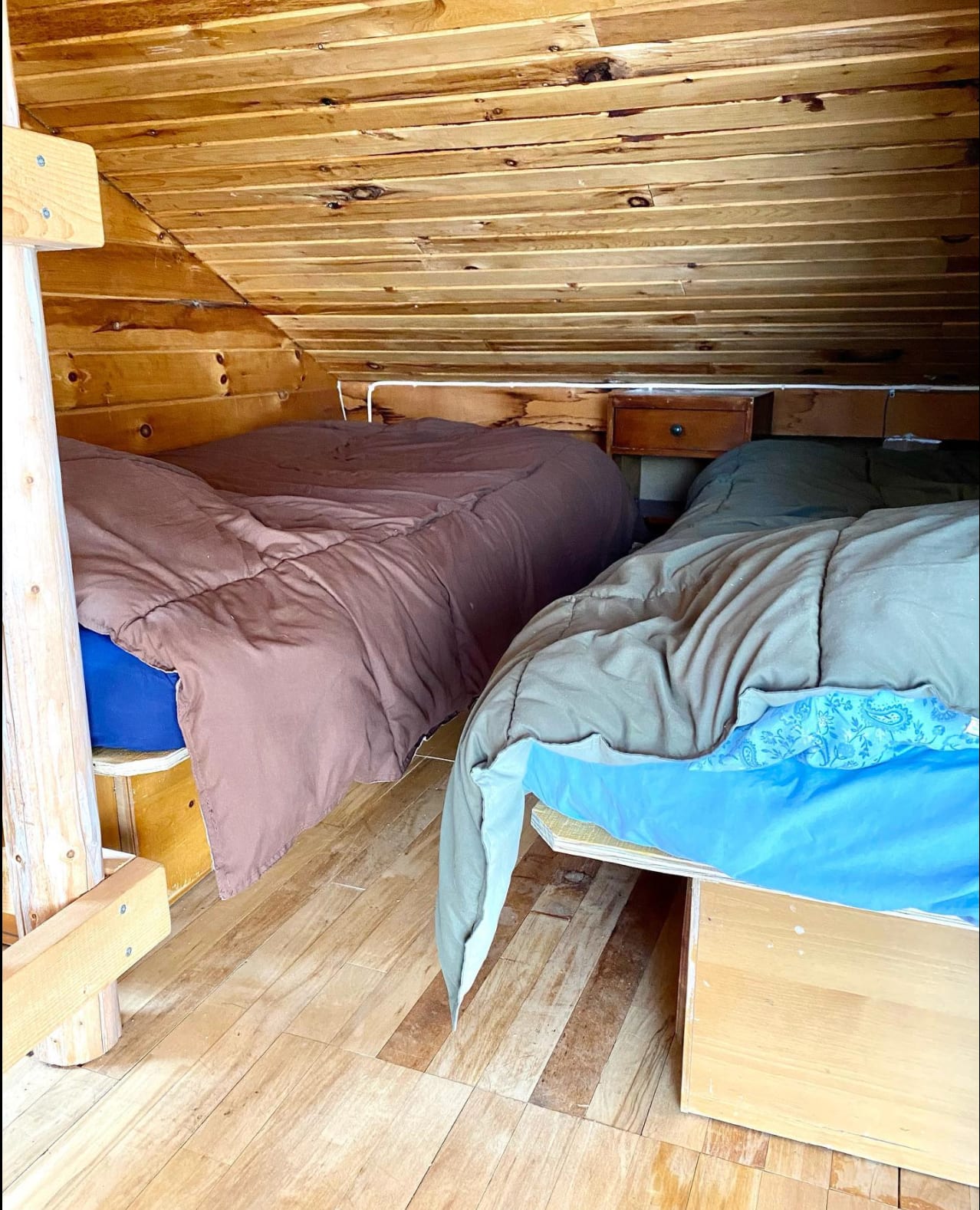 Ellens Cabin