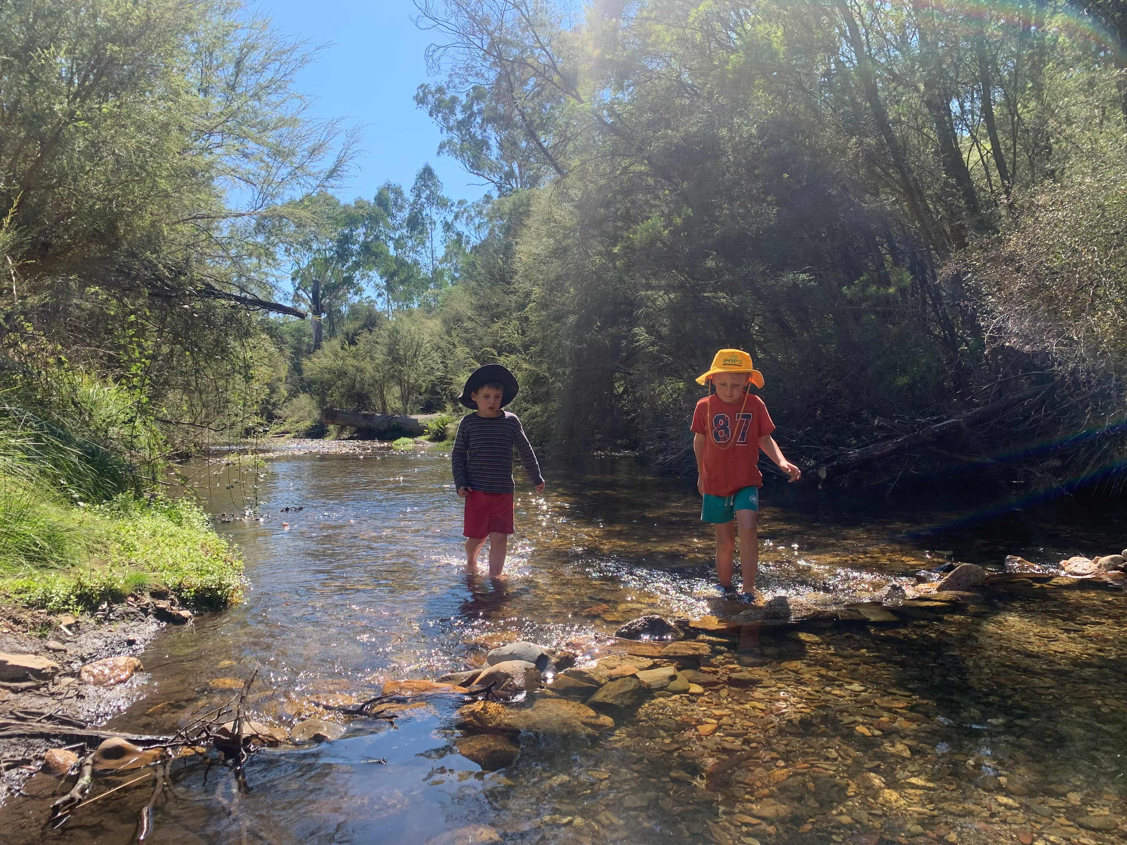Creek has the odd waist deep pool, but largely knee deep (March). 