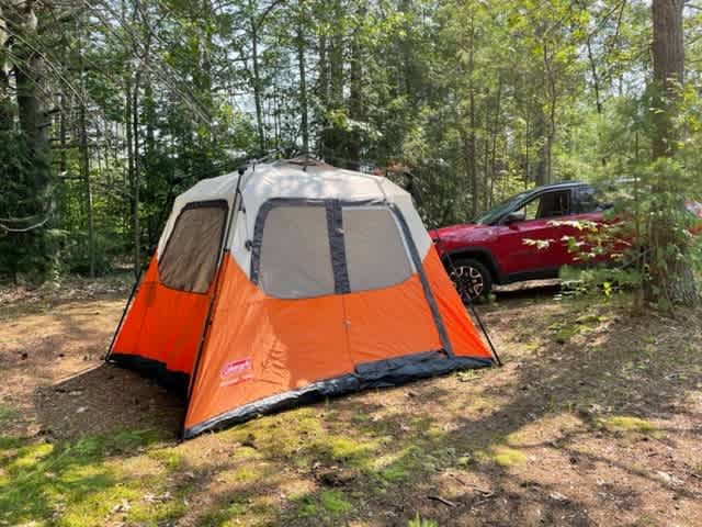 Roomy secluded tent spot tucked in the trees.