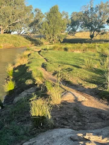Picture of the site