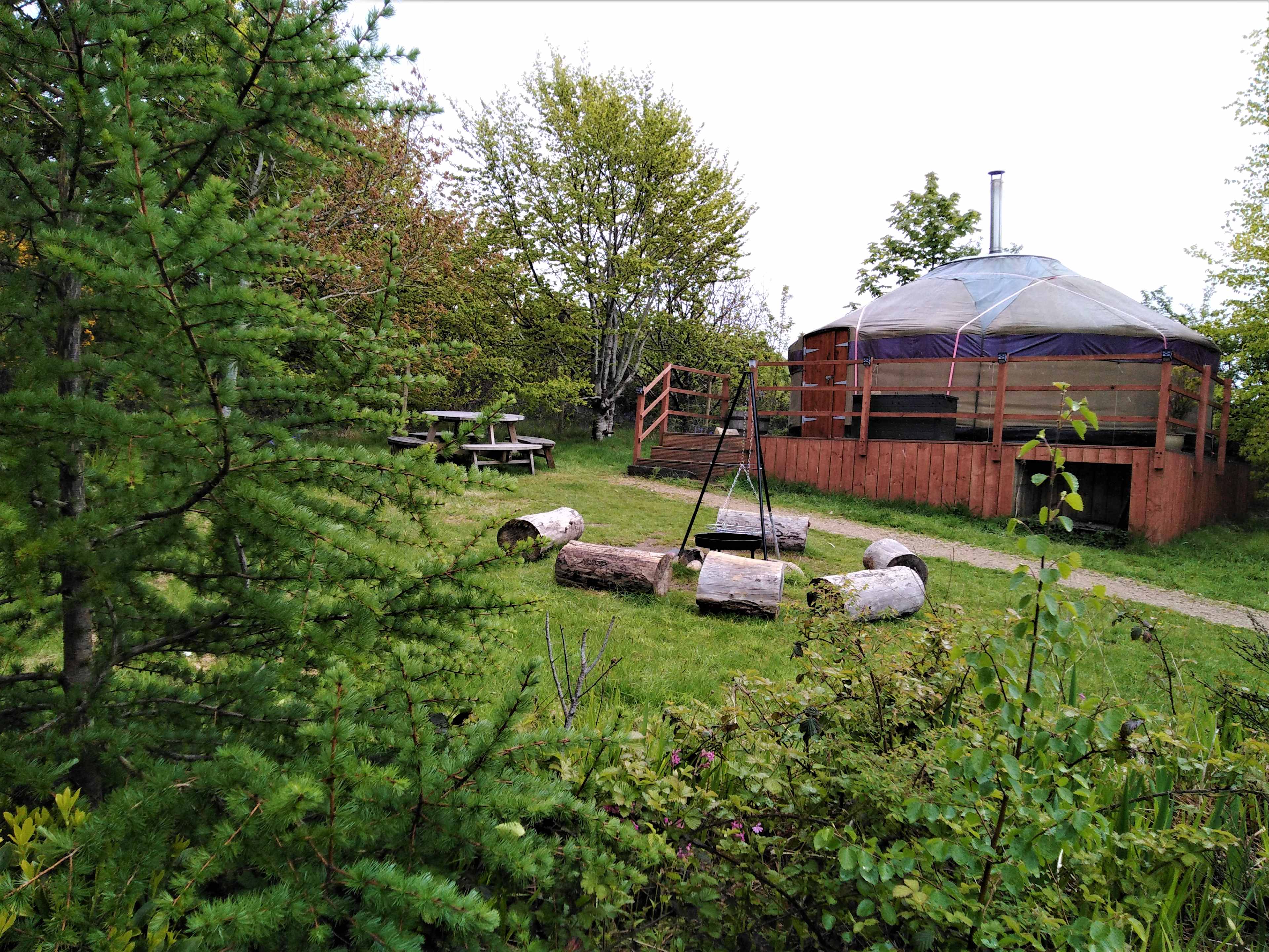 Picture of the site