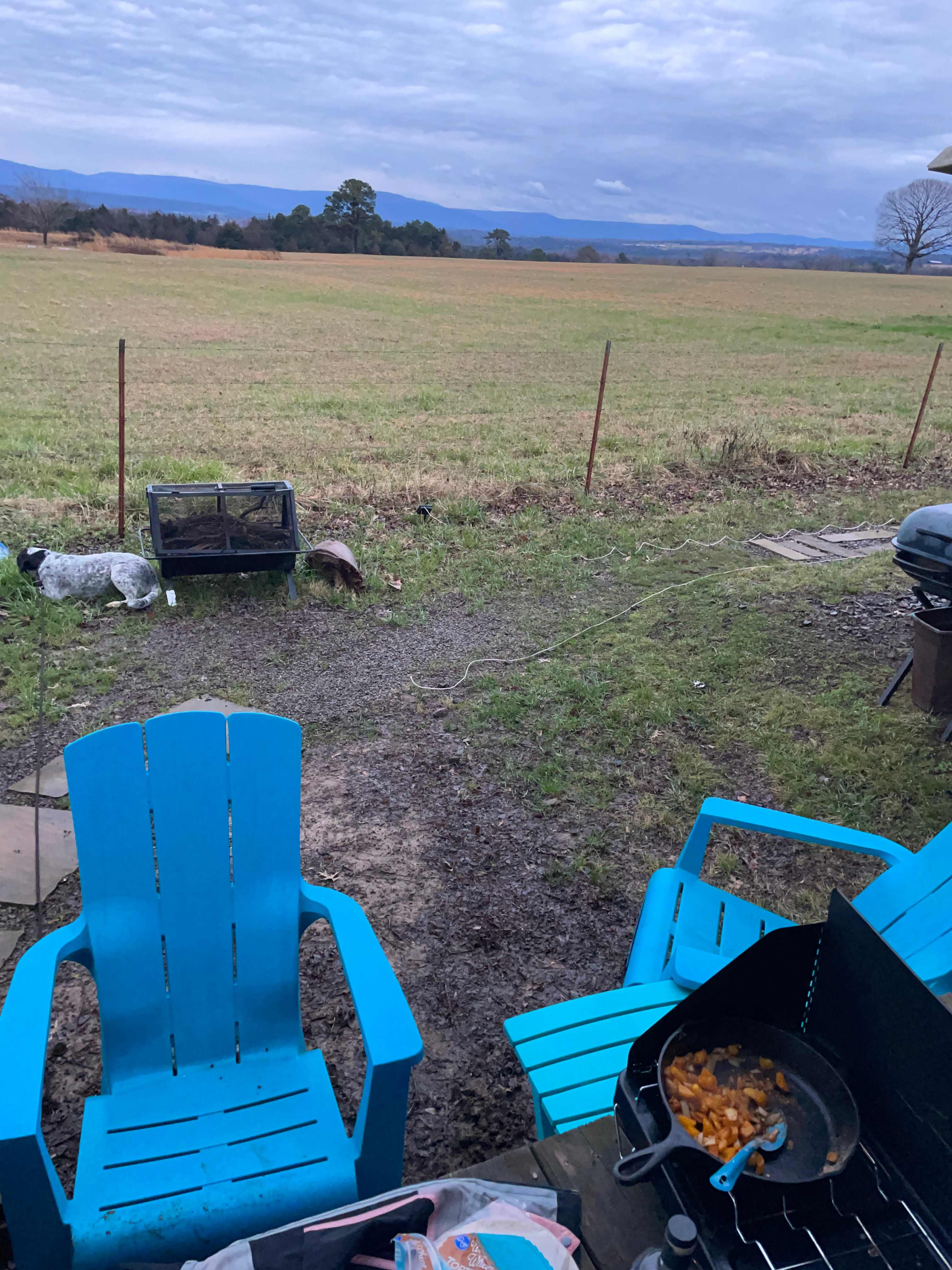 Picture of the site