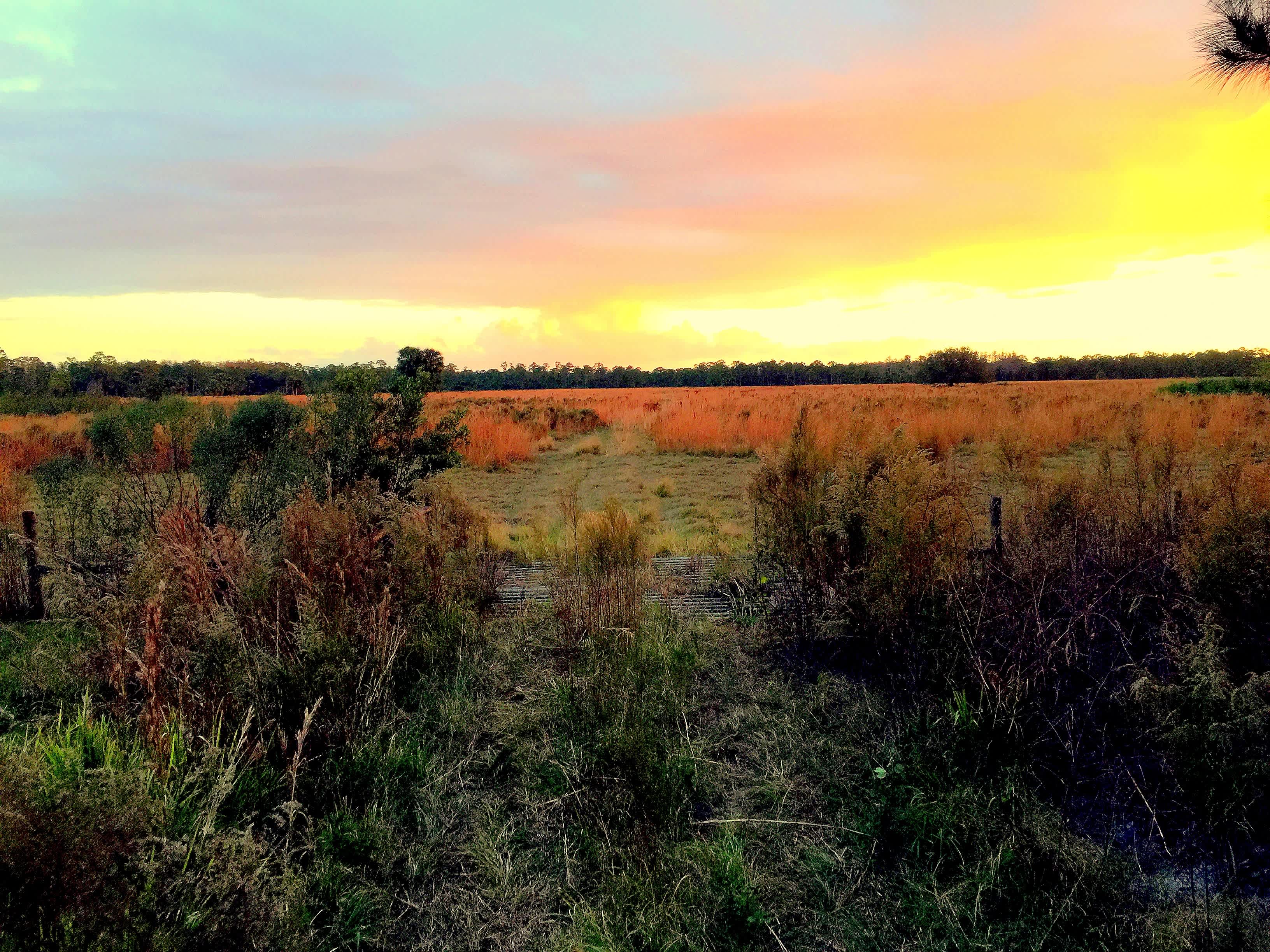 Hat Creek Farms