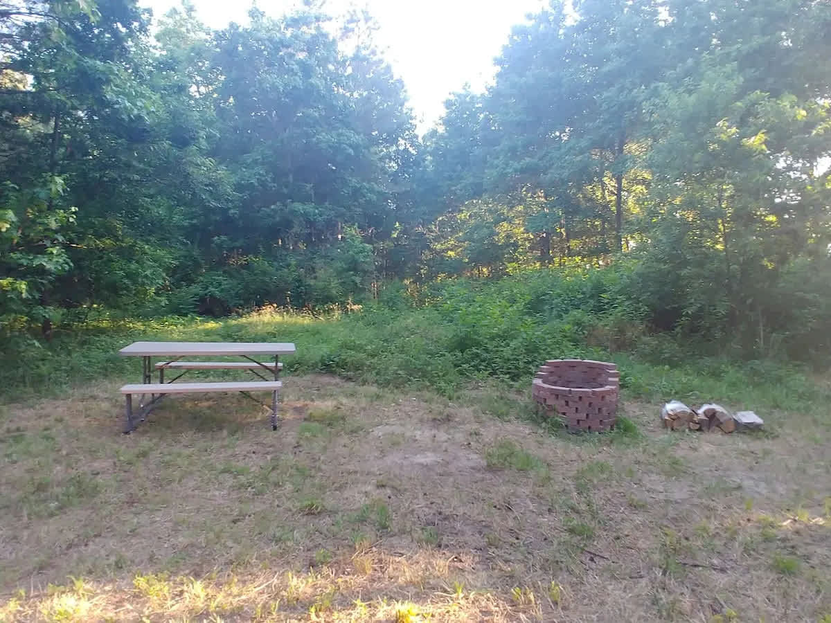 Forest Bathing Campsite