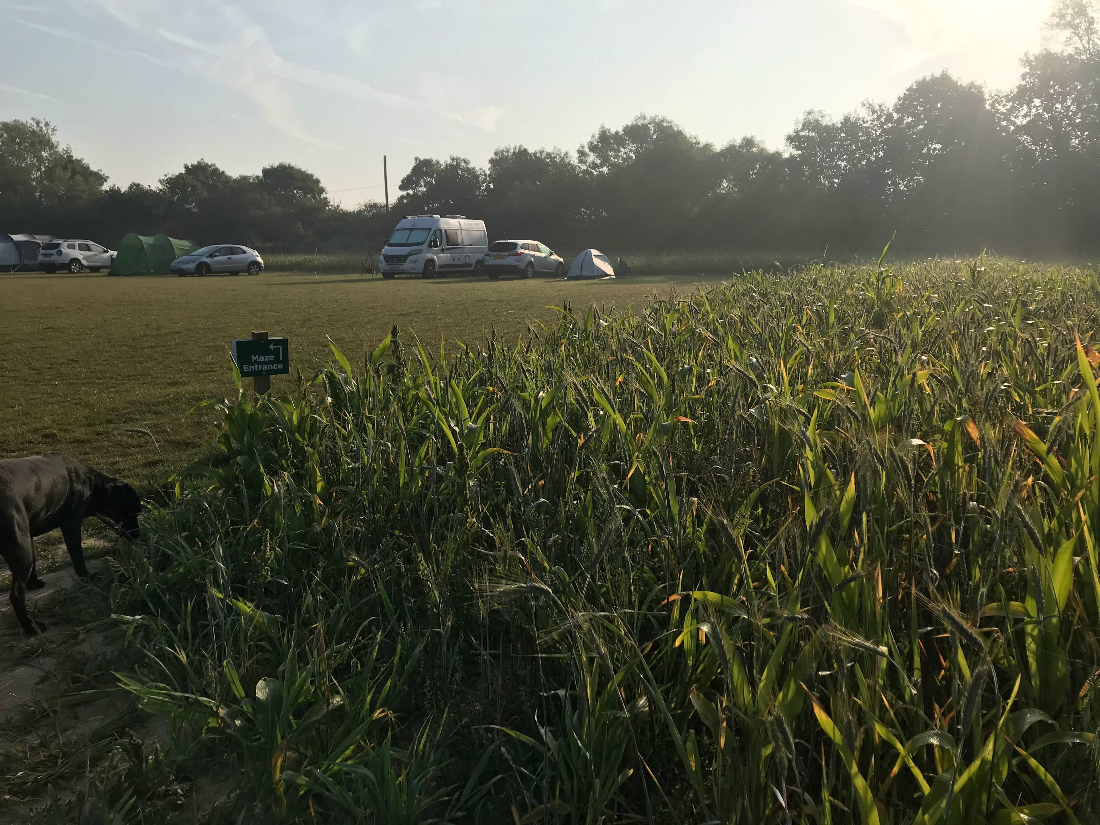 Willow Campsite