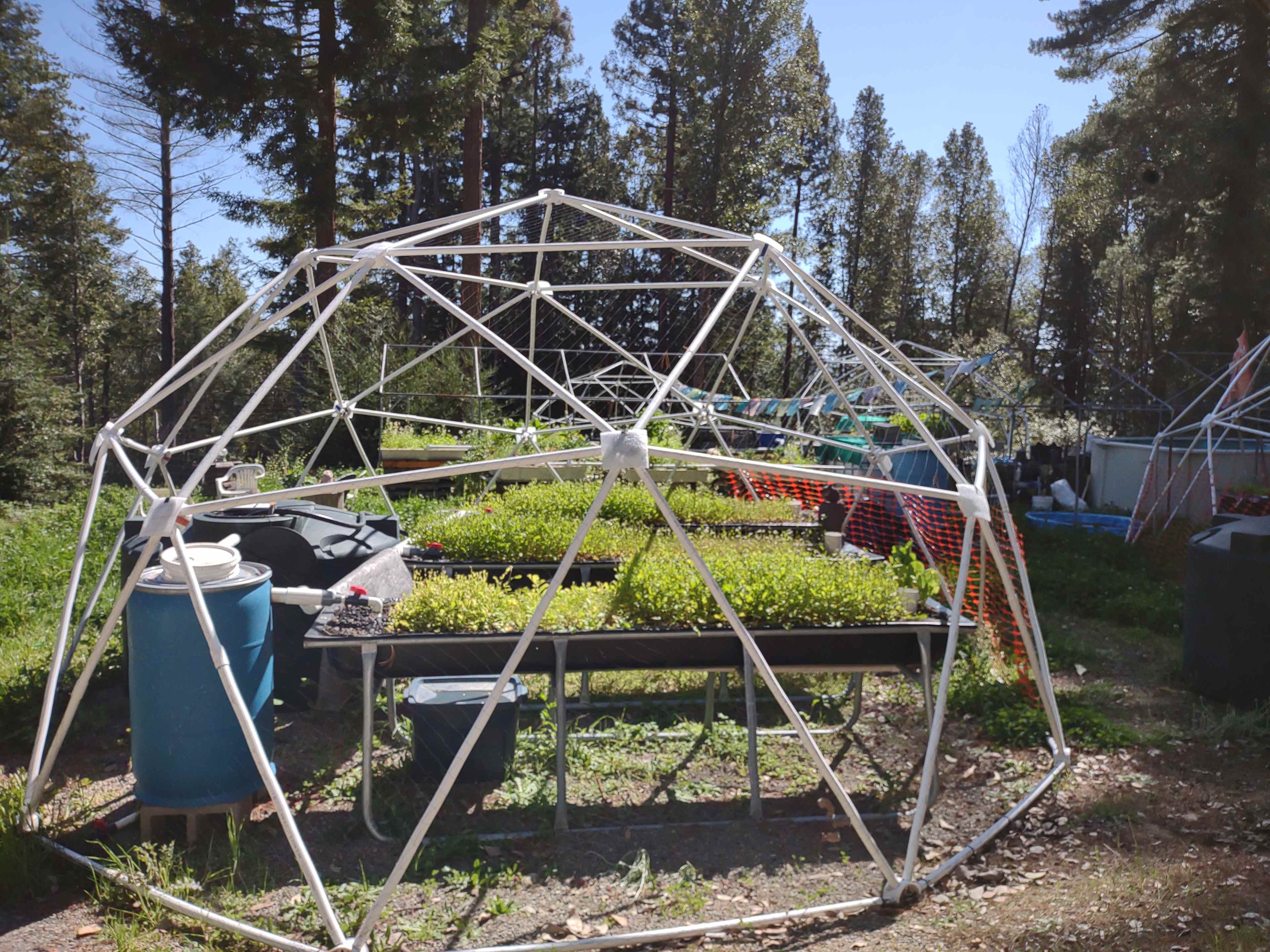 A Yurt&Aquaponic Farm in RedWoods
