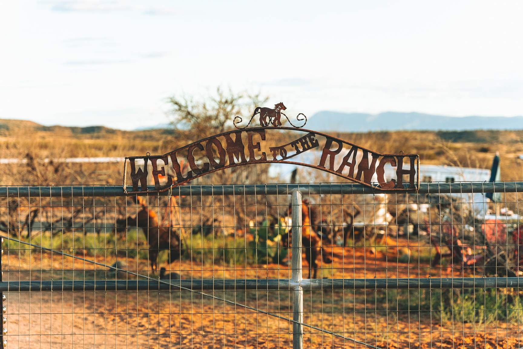 Rural Ranch & Petting Farm