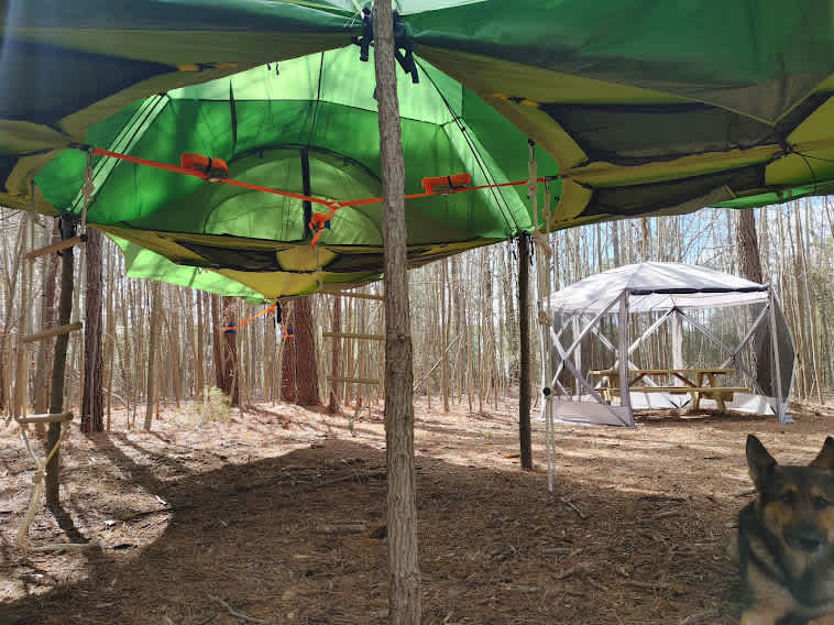 Picture of the site