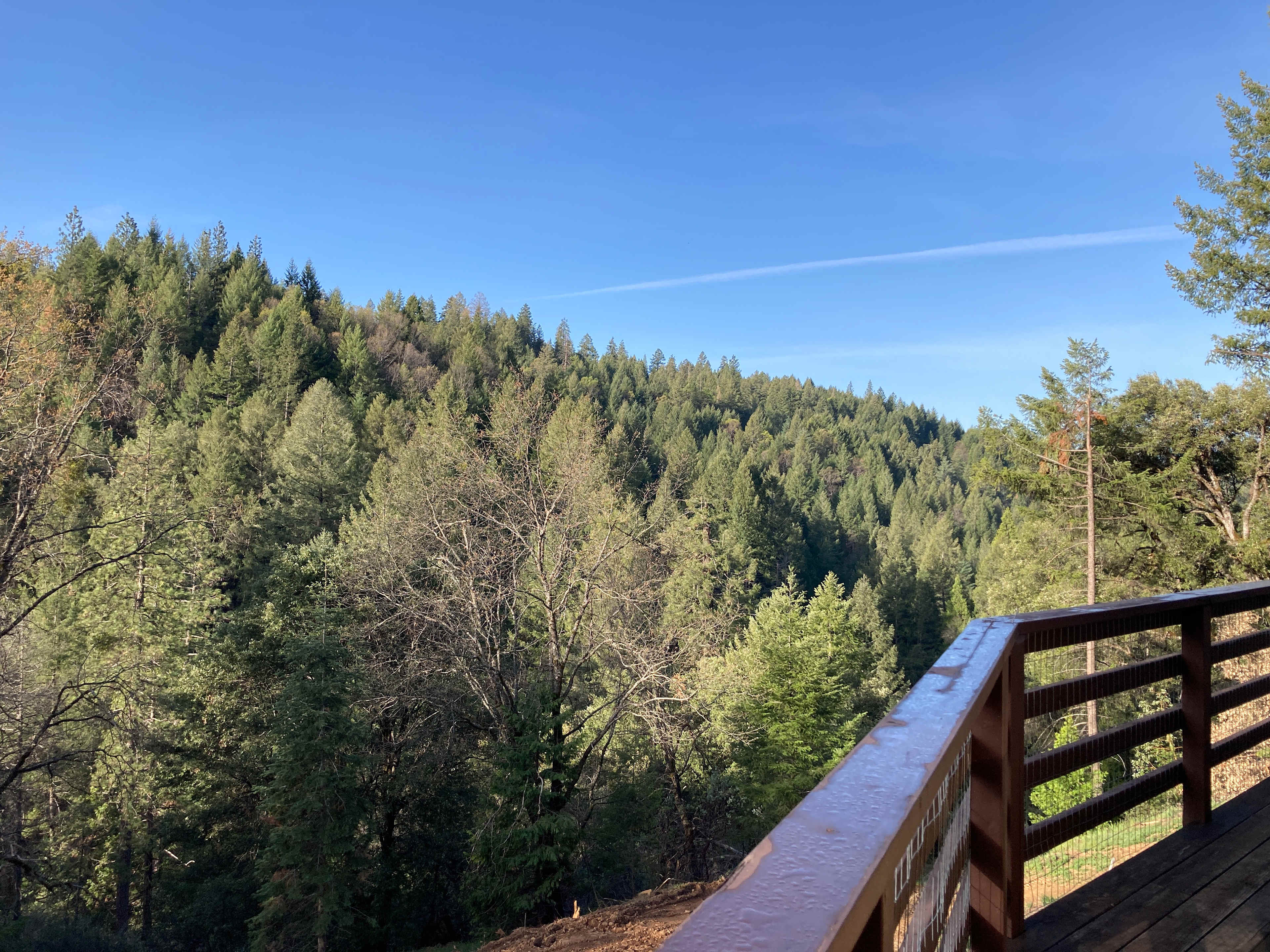 Our deck's view