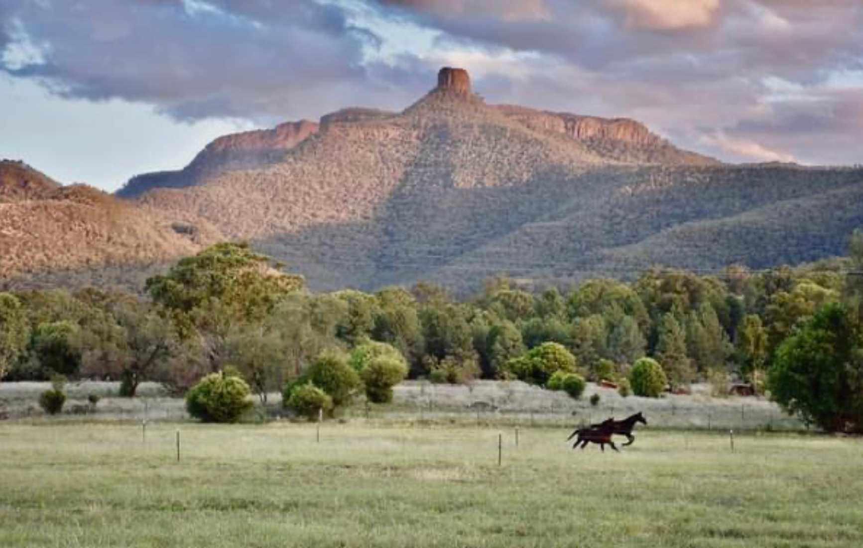 The Valley