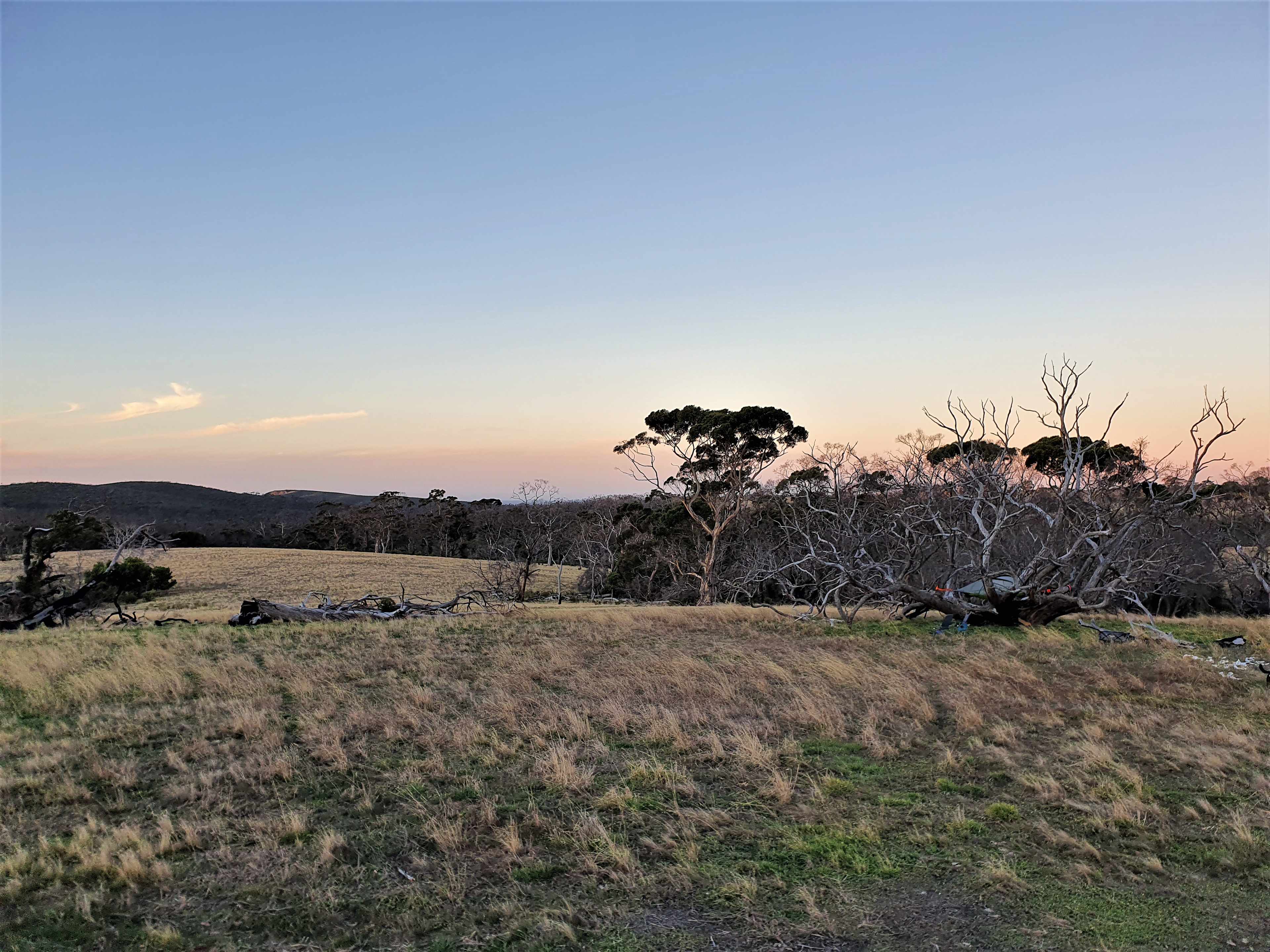 The Site