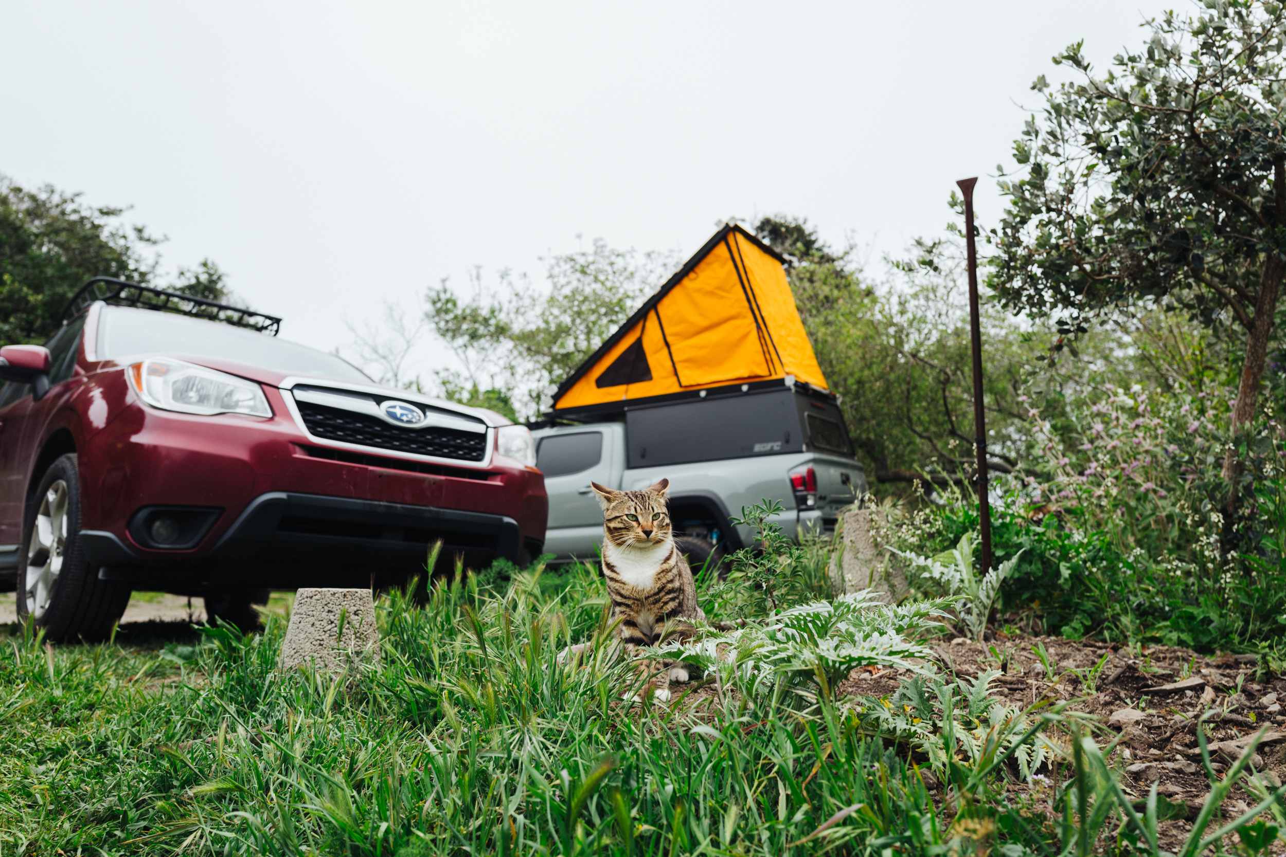 We popped up our camper on flat ground in the parking area for a place to hangout and cook.