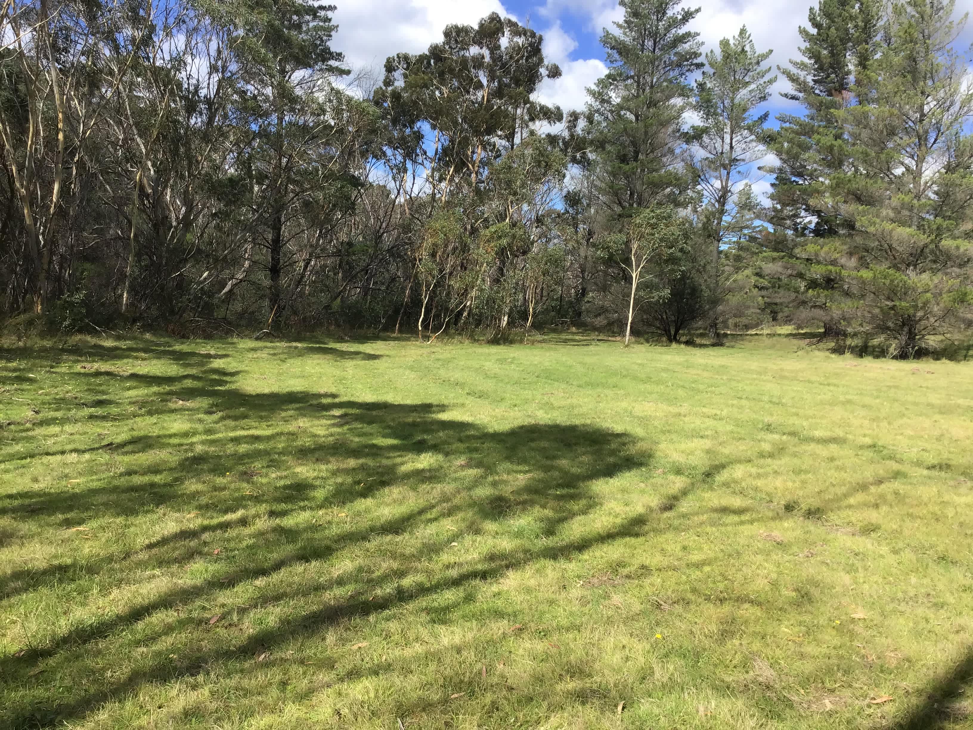 Grassy Gully
