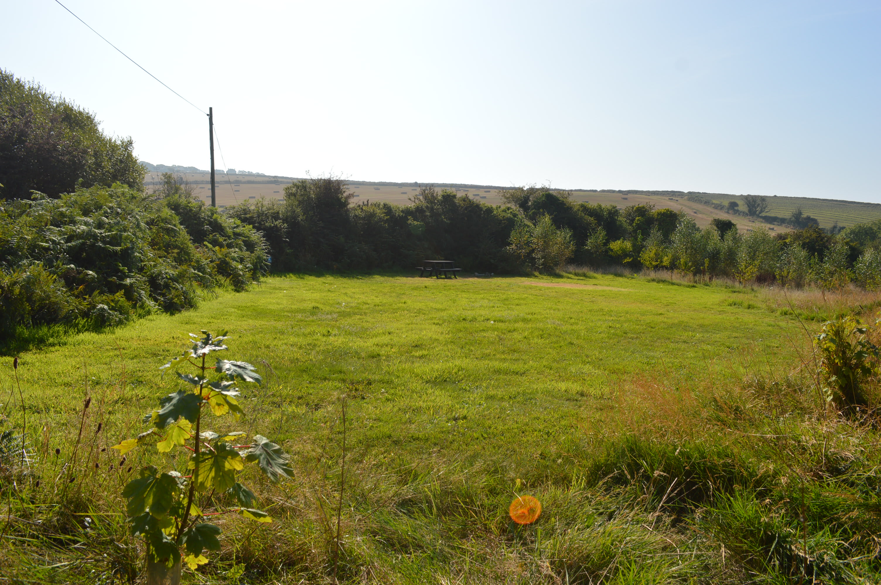 Preseli Glamping woodland camping