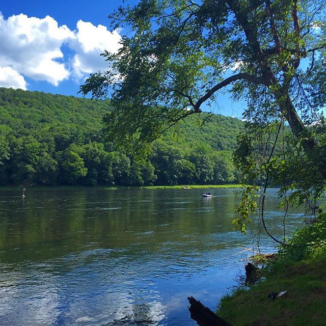 The River's Edge