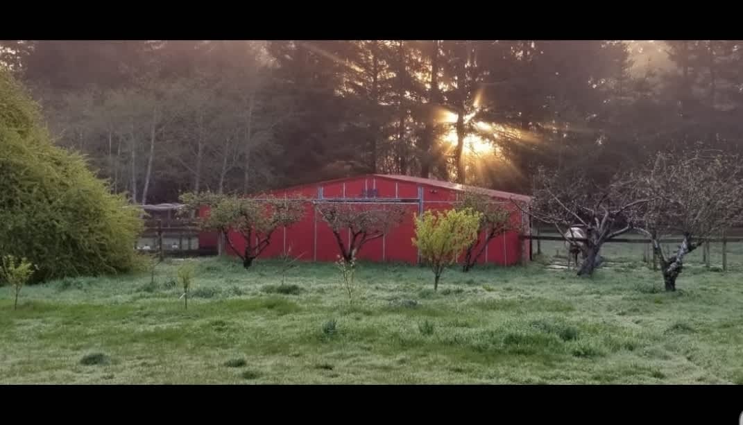 Barn and orchard...you might even see Shiloh in there.