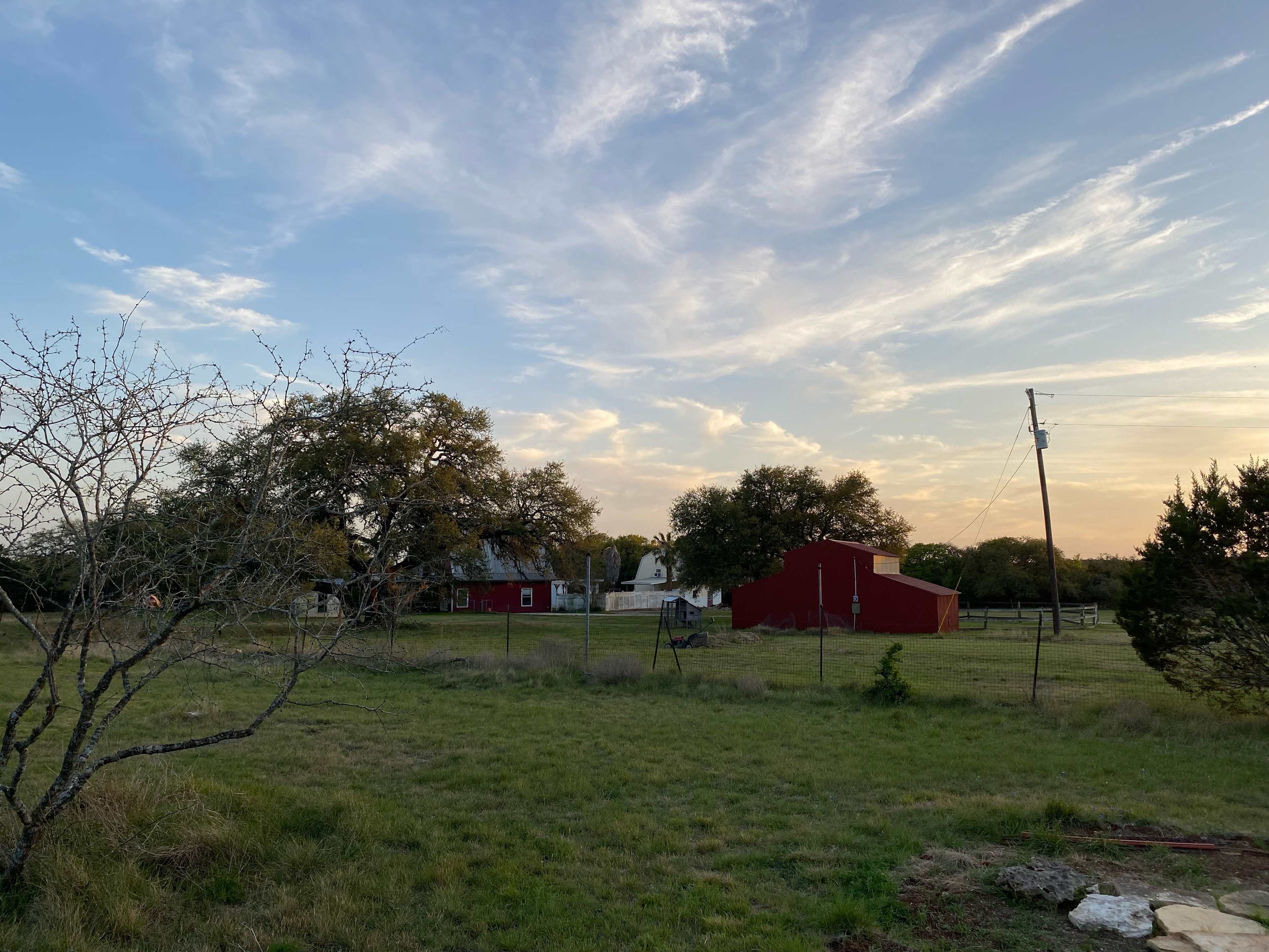 Twisted Oaks...