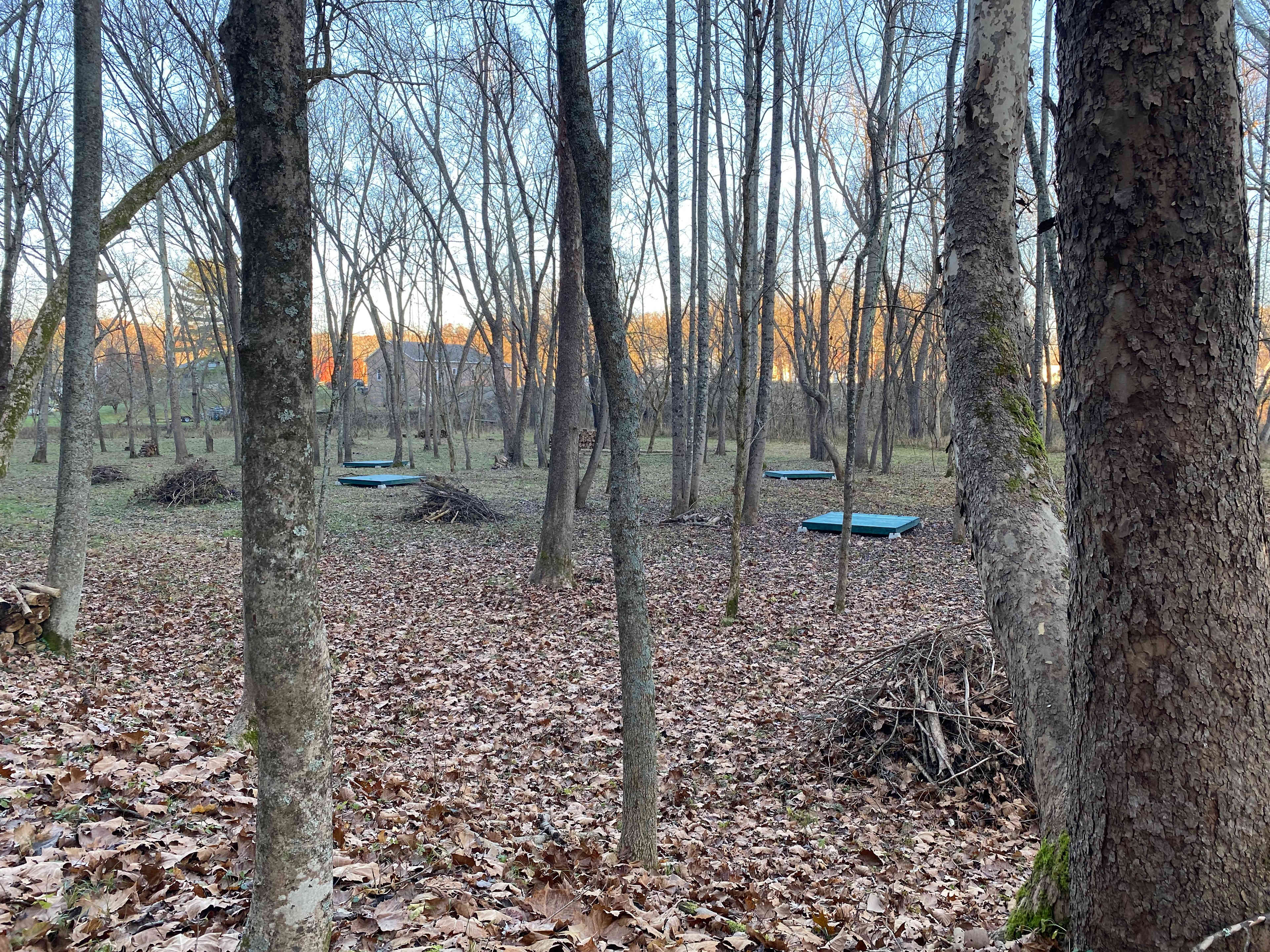 Winter view of the tent pads