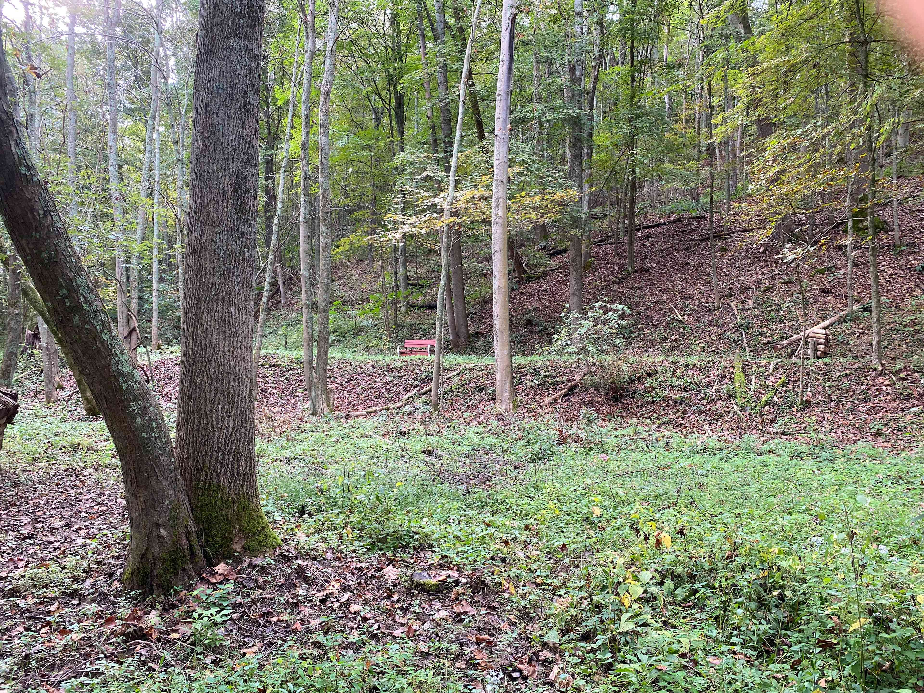Along the old railroad back to the sites