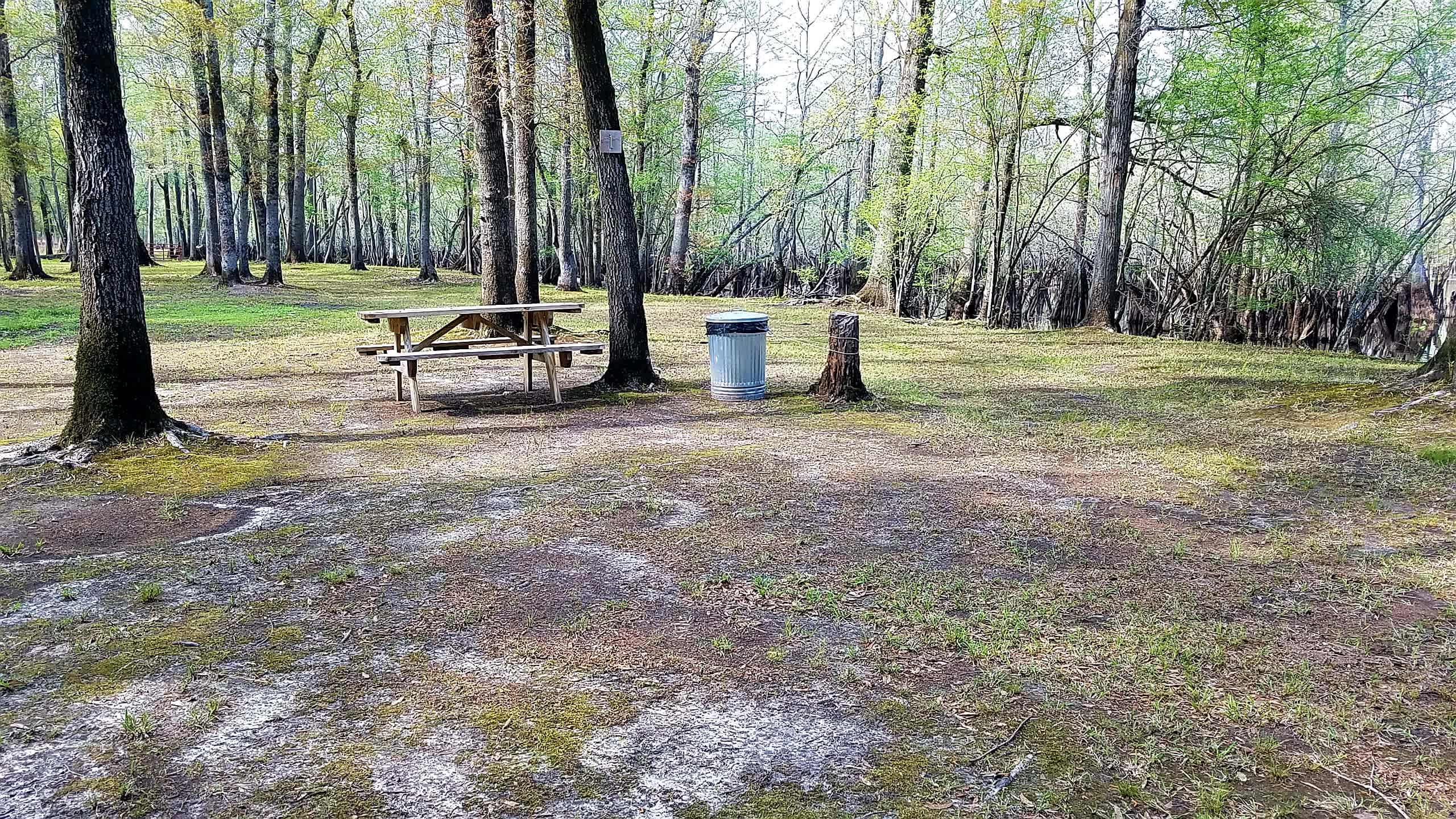 Black River Camping Ventures